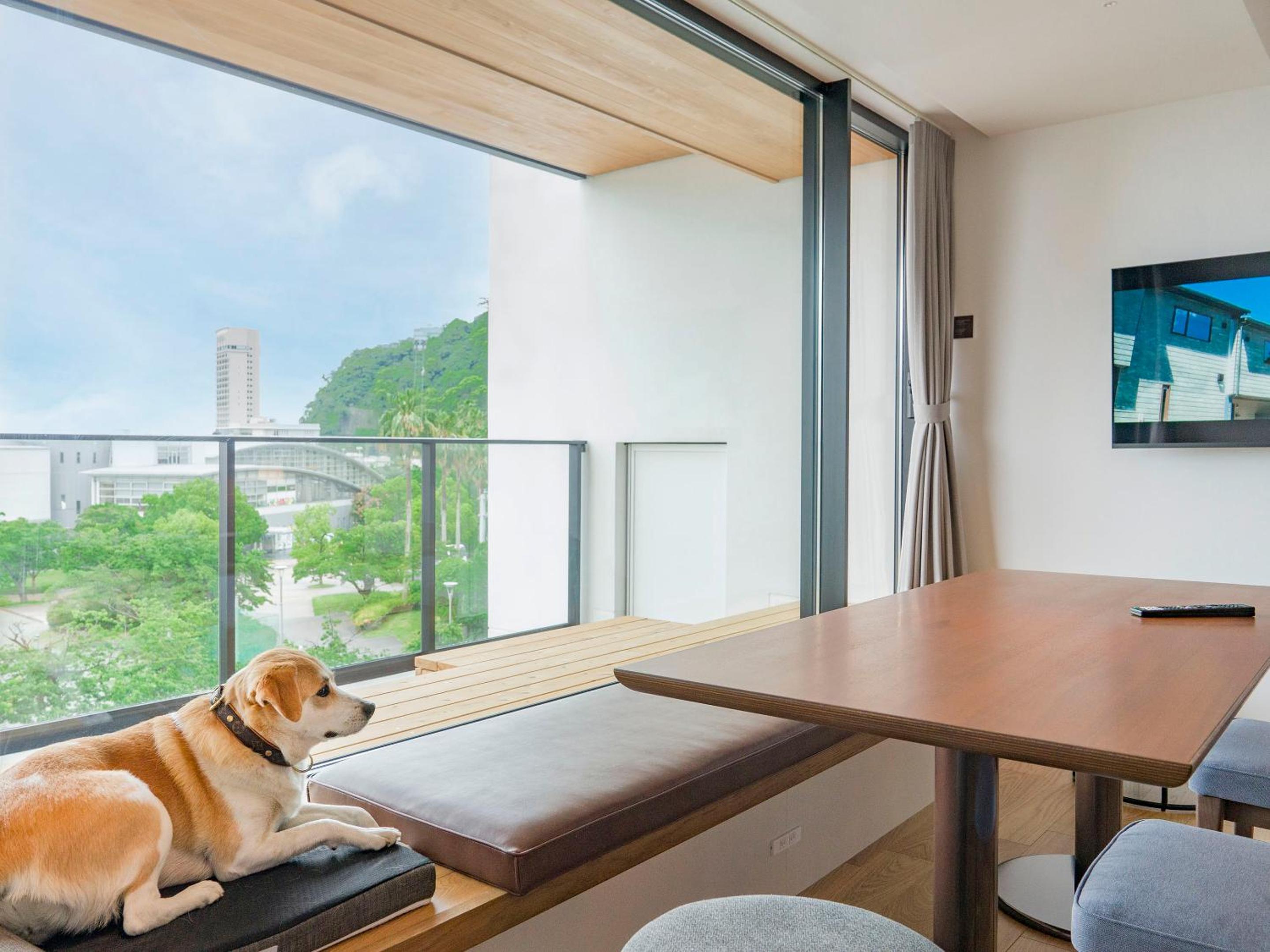 Family Room, Dog friendly, 1off-site parking lot - Photo 1