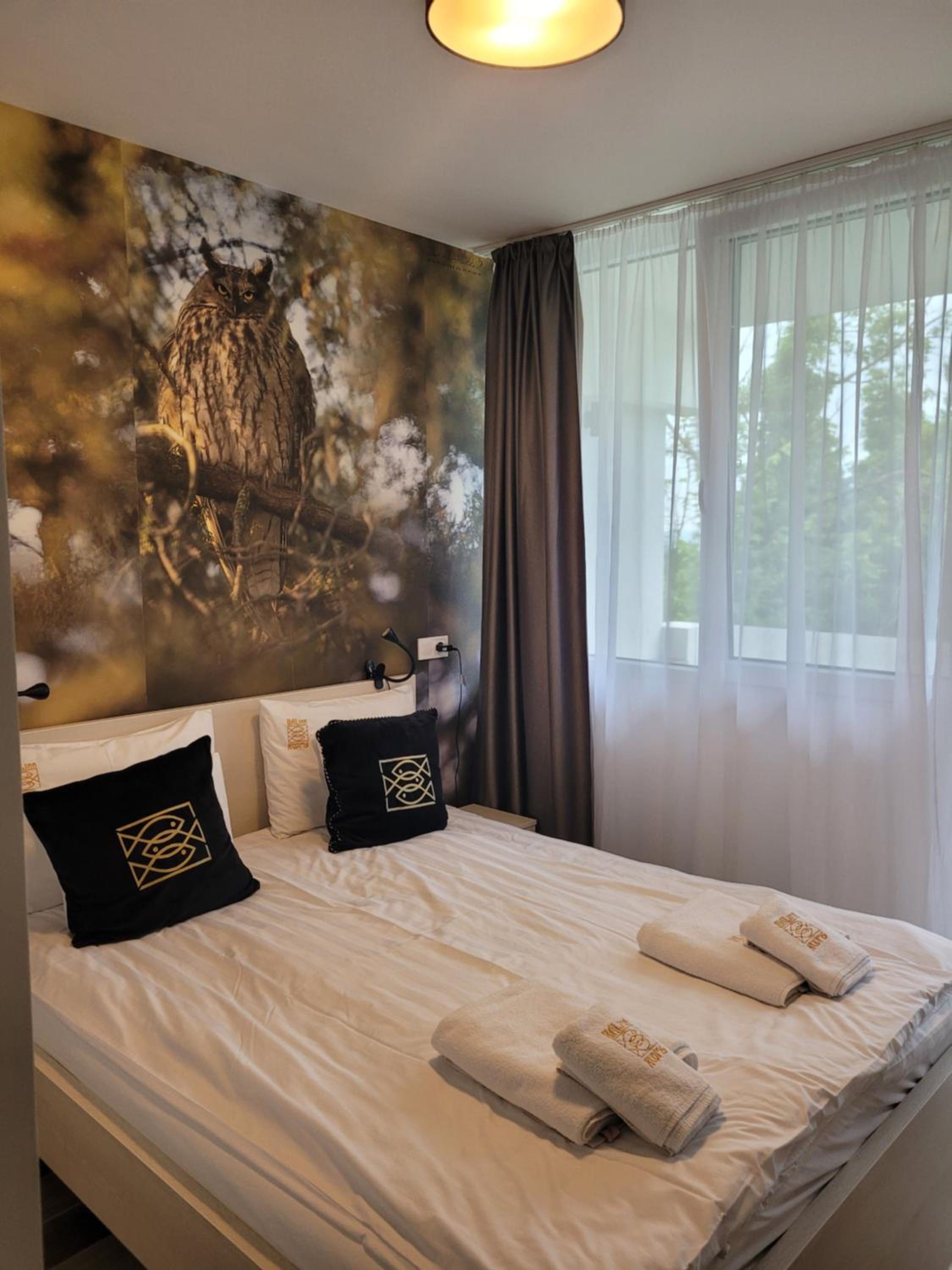 Double Room - Disability Access photo 1