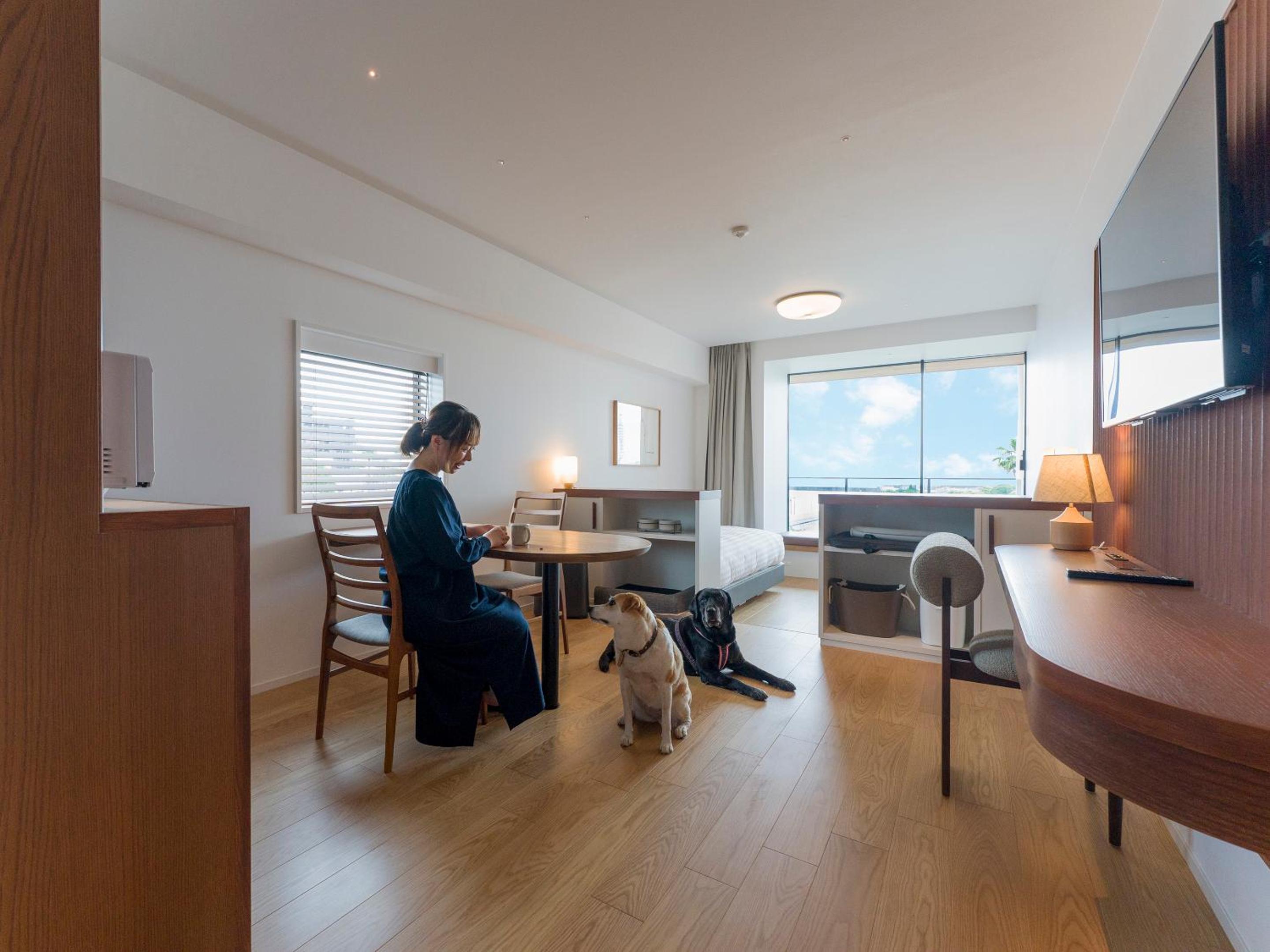 Twin Room, Dog friendly, 1off-site parking lot - Photo 21