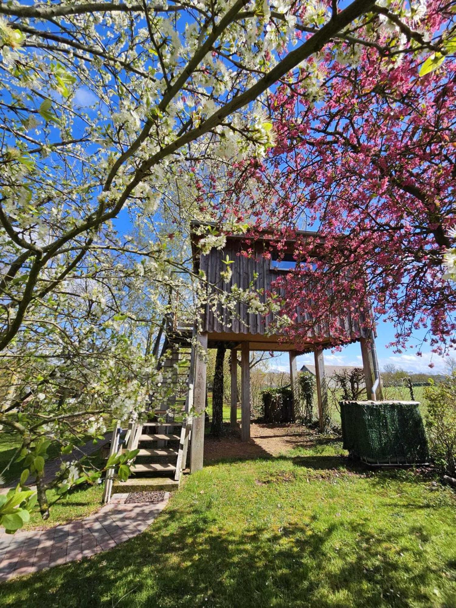 Perched Tree house - L'Ours Brun - Photo 22