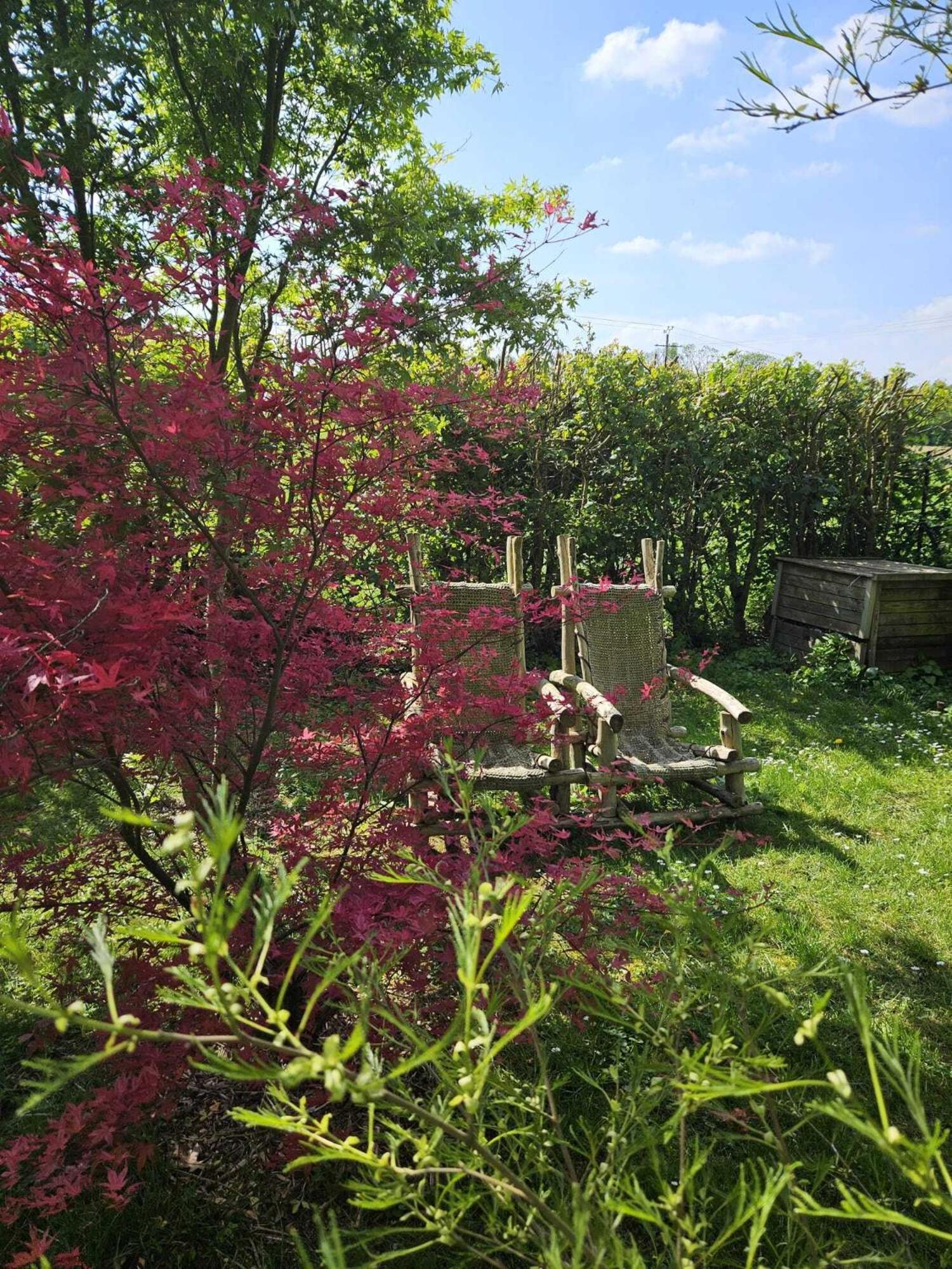 Double Room with Garden View - Photo 4