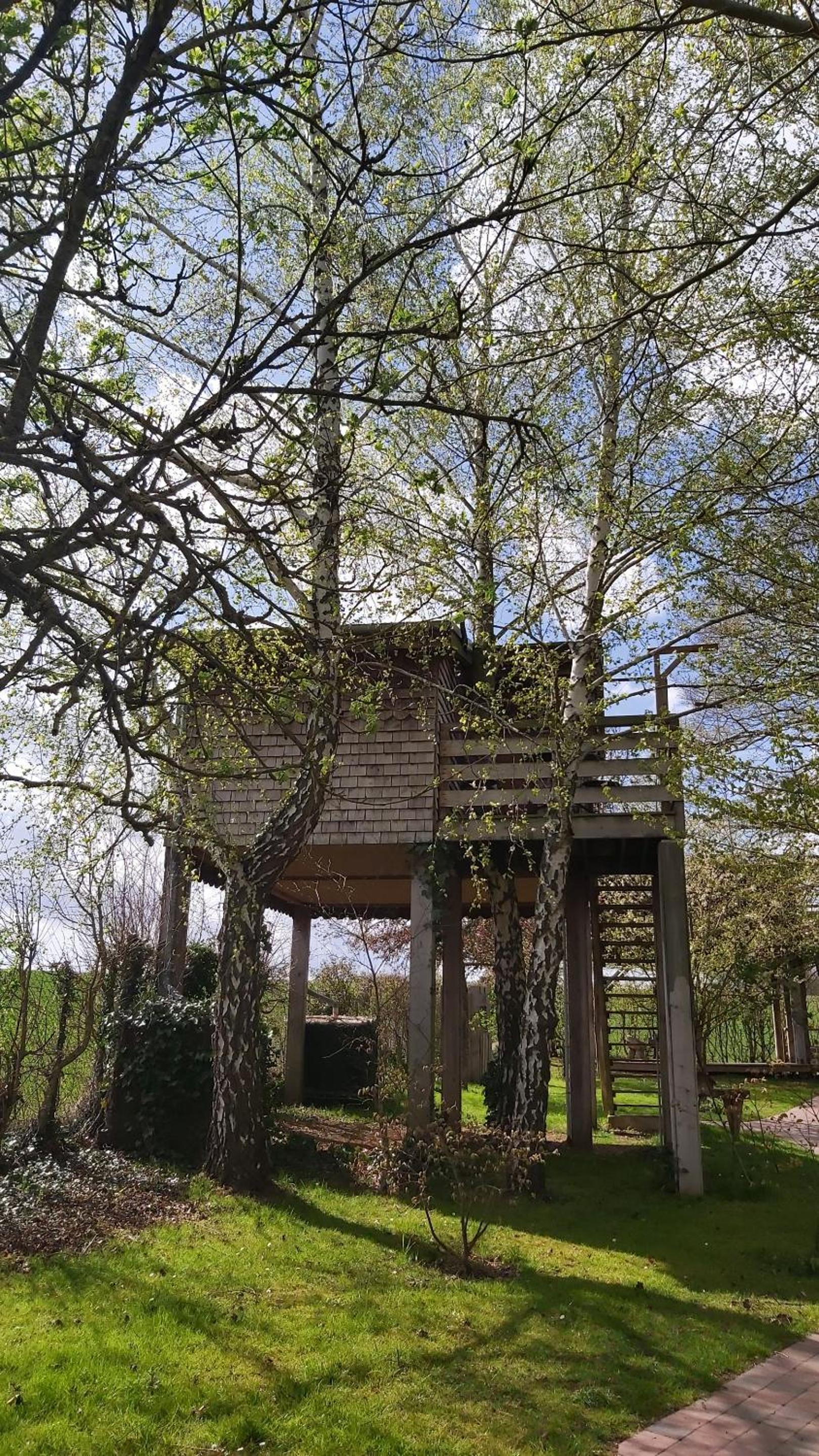 Perched Tree house - L'Ours Brun - Photo 18