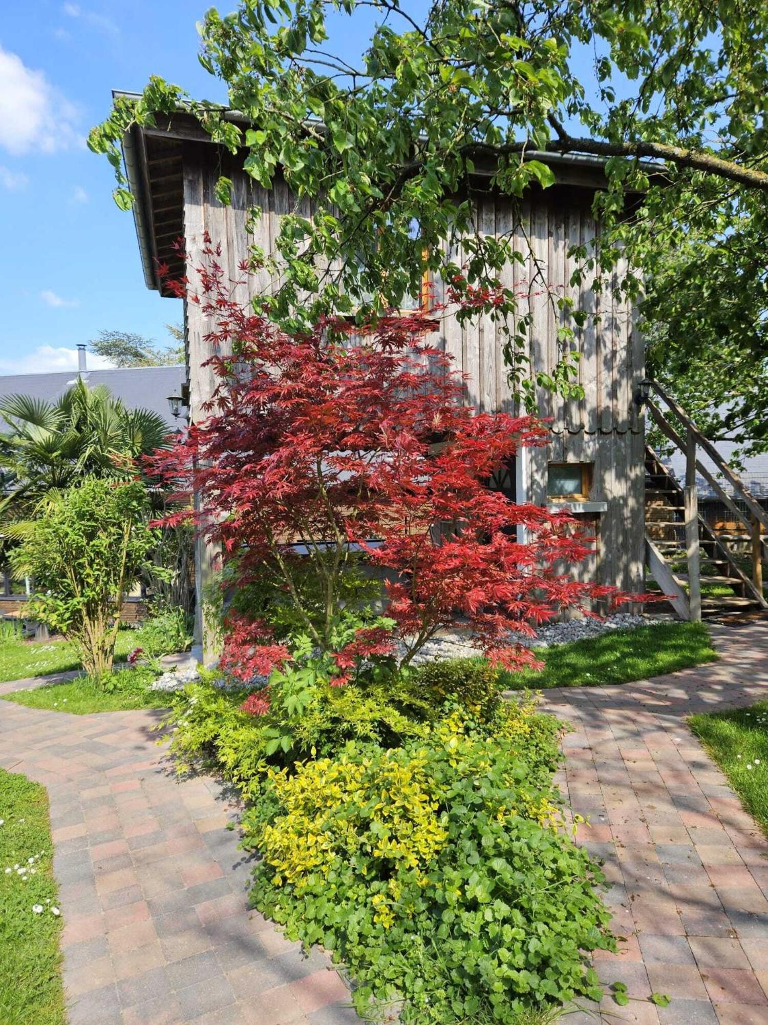 Perched Tree House - La Grande Ourse - Photo 9