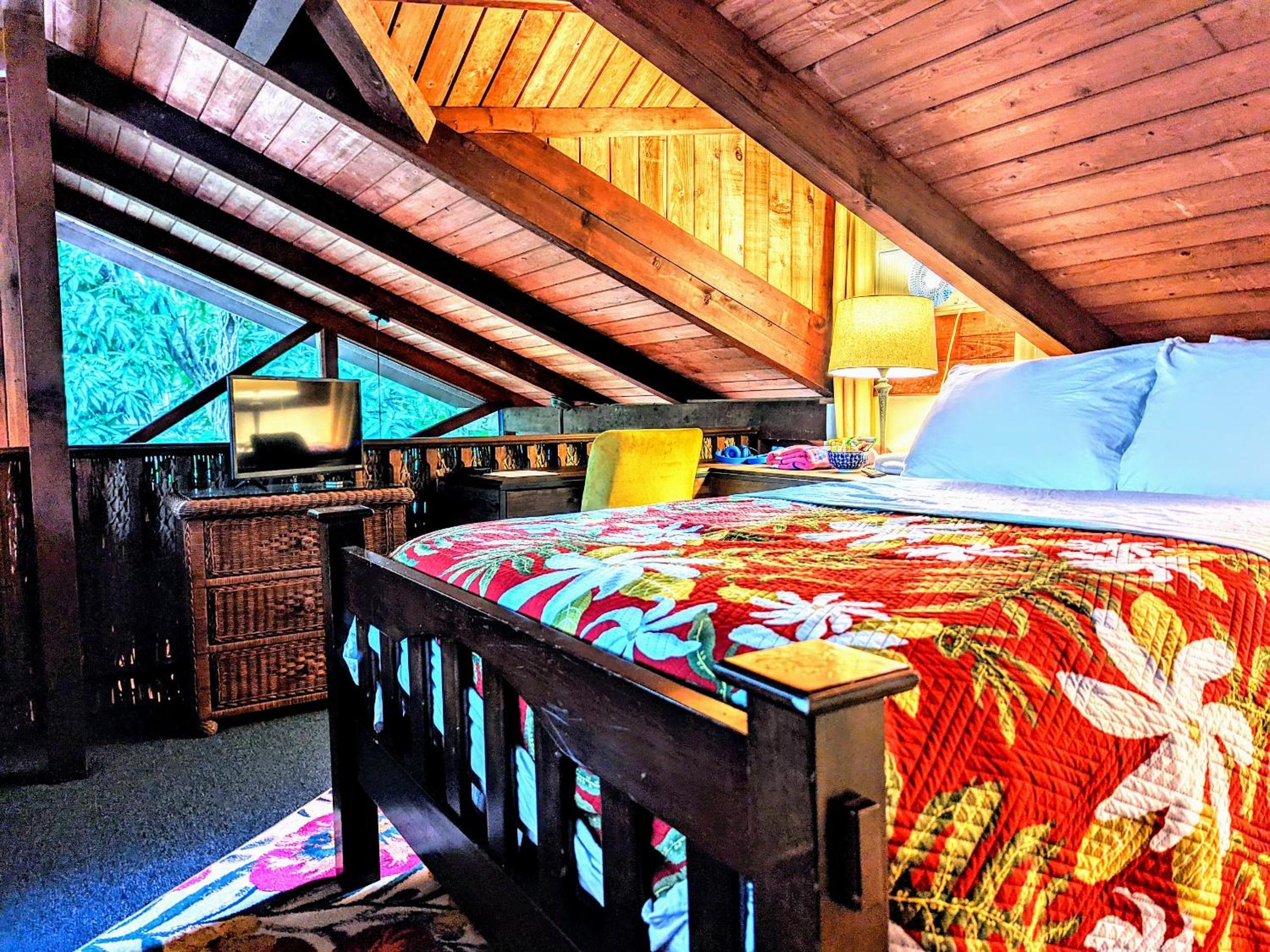 Bunk Bed in Mixed Dormitory Room photo 1
