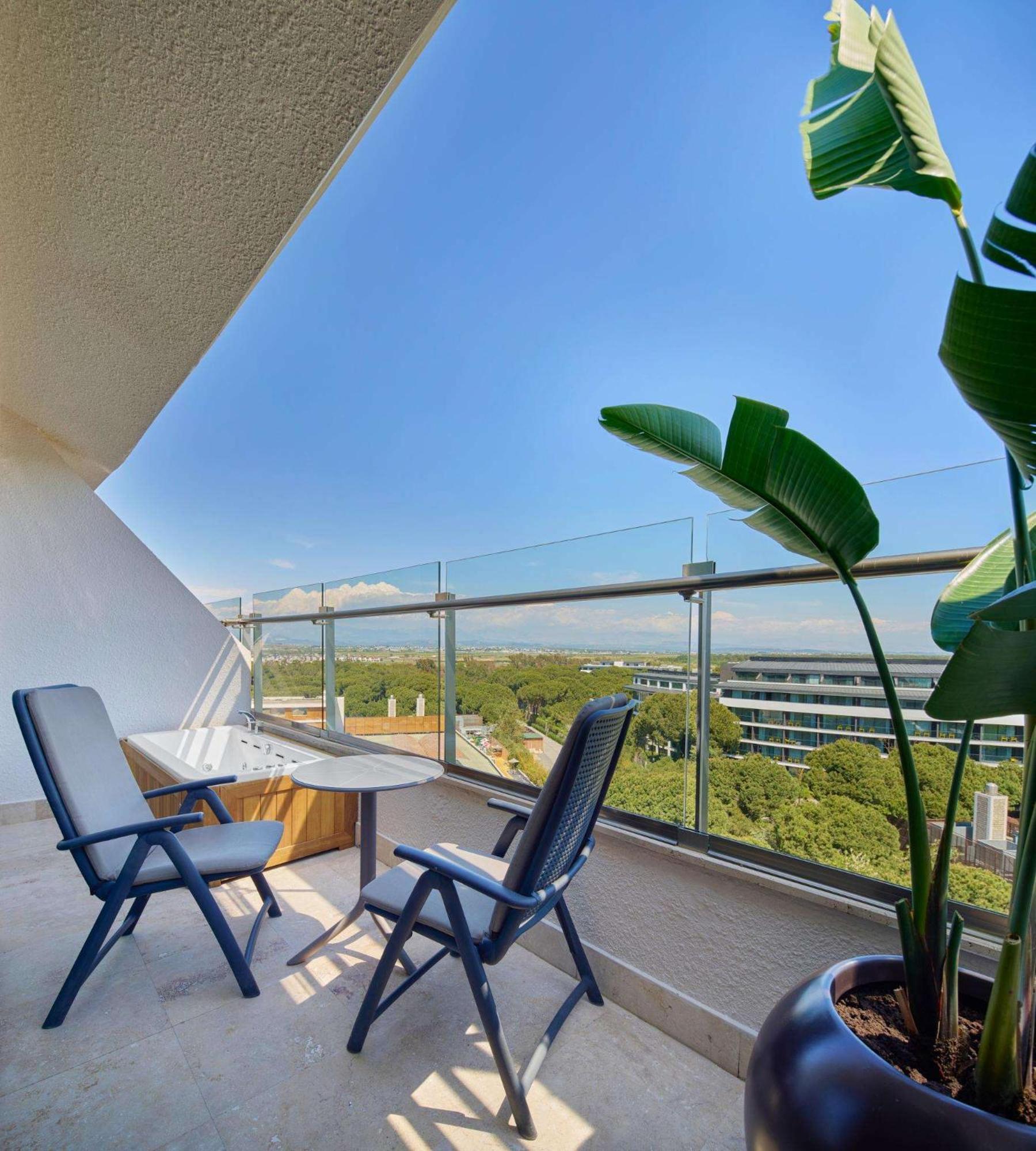 Family Suite Roof Land