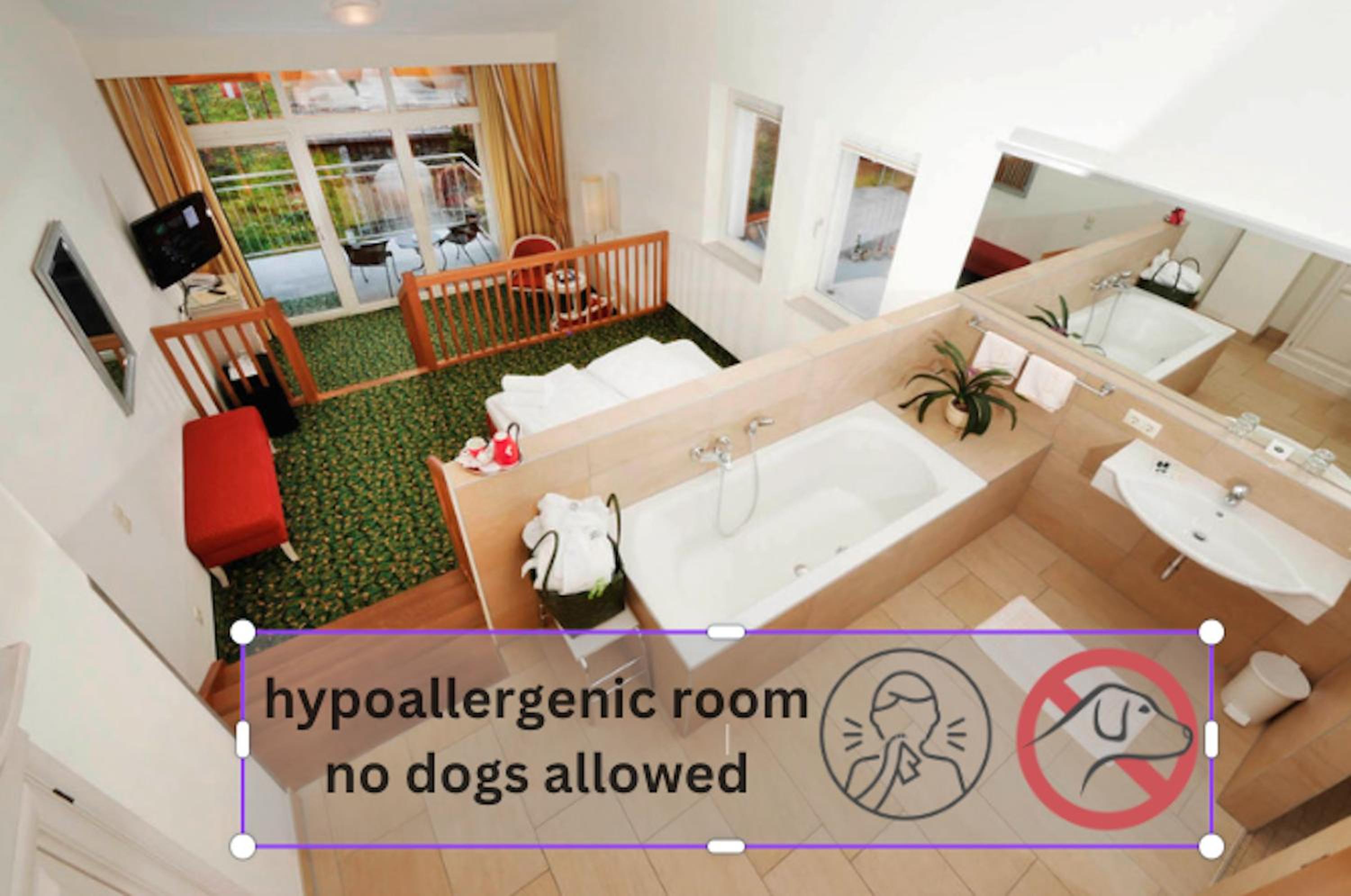 Deluxe Room - Hypoallergenic photo 2