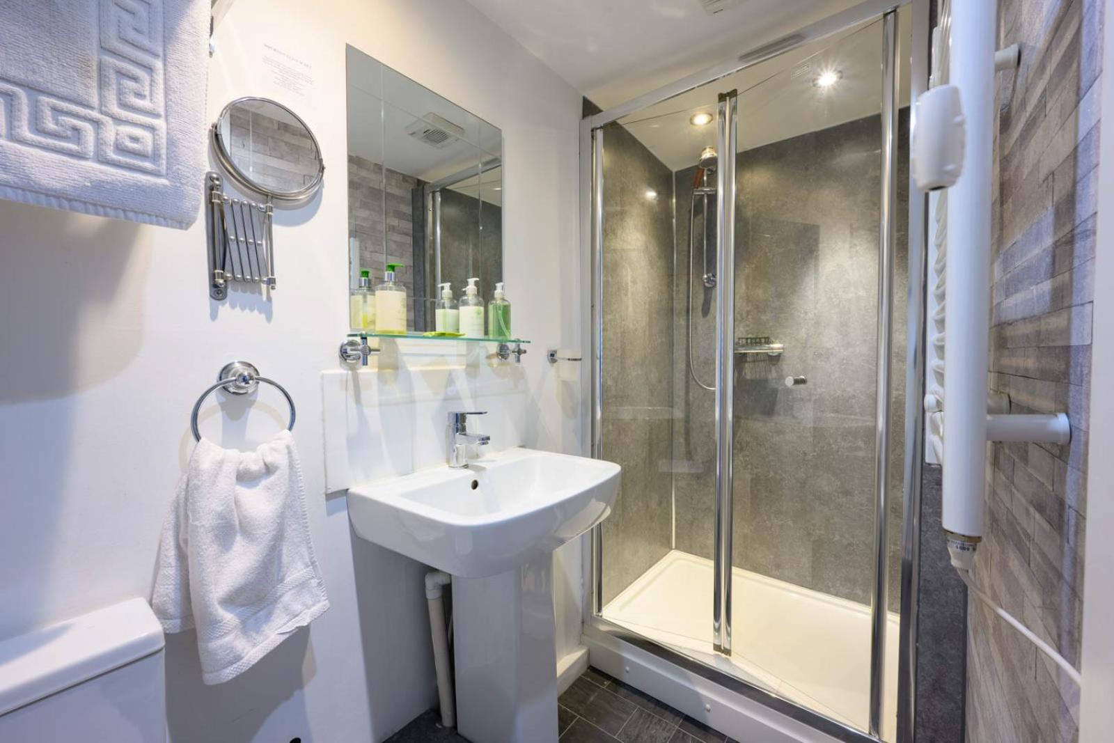 Deluxe Double or Twin Room photo 3