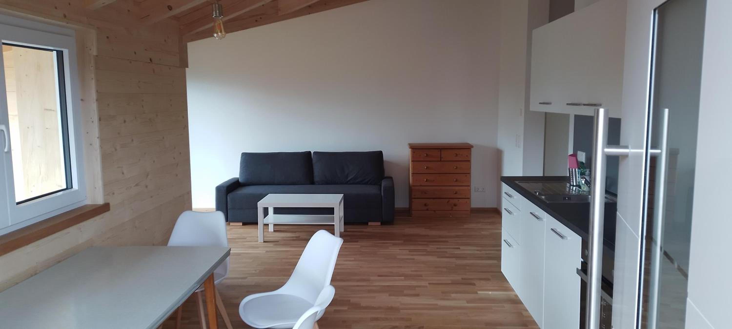 One-Bedroom Apartment with Bathroom photo 3