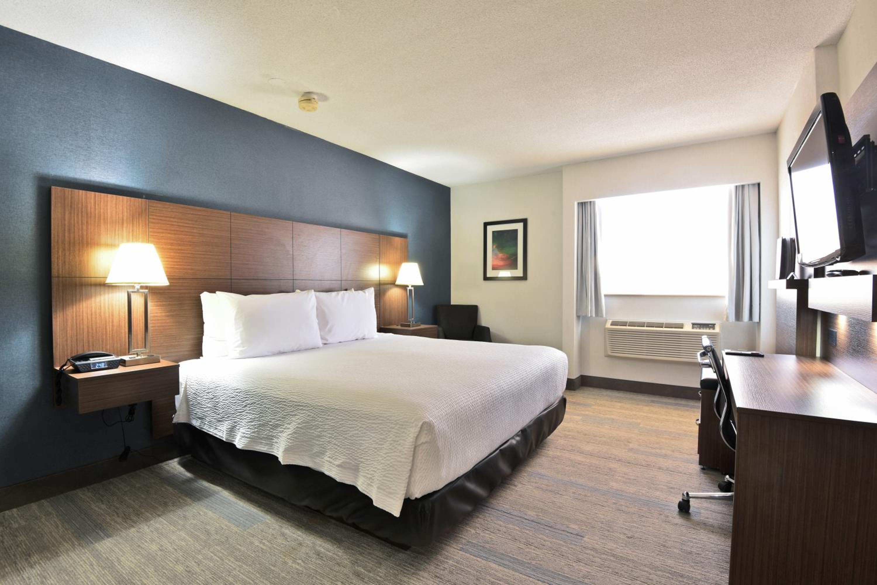 Corporate Floor - Business King Room - Photo 1