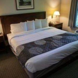 Standard King Room - Photo 3