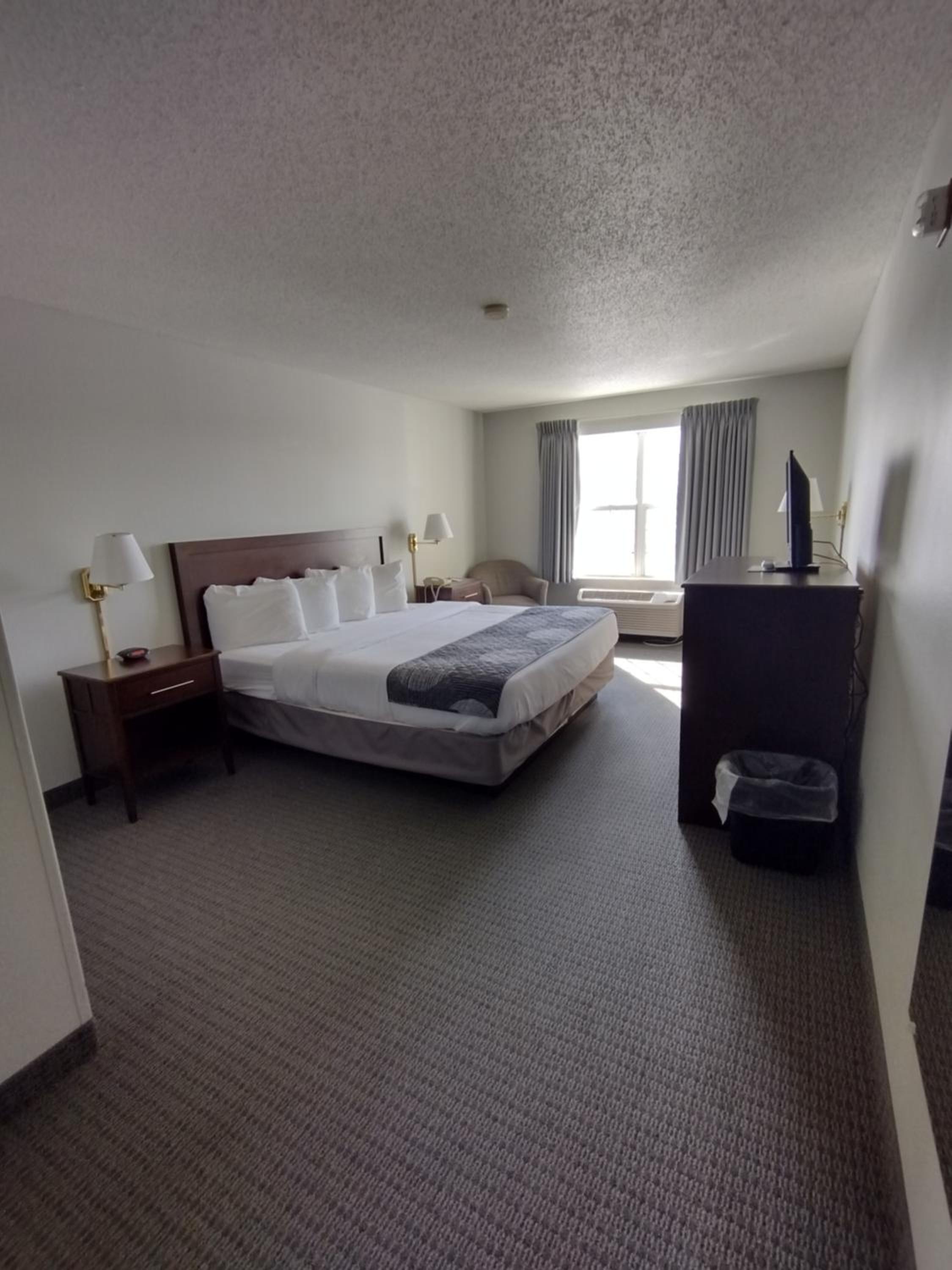 Standard King Room - Photo 4