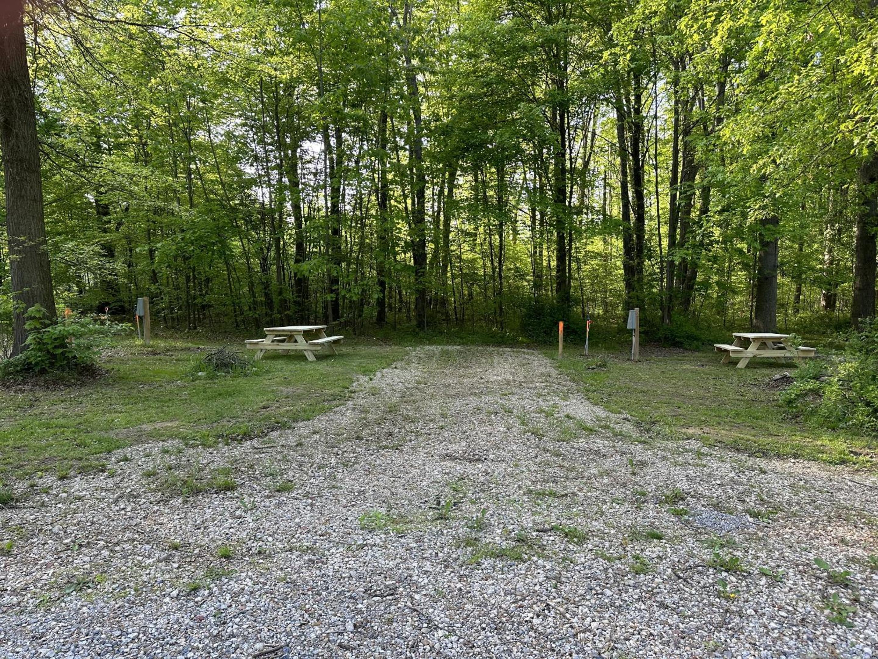 Empty Lot photo 1