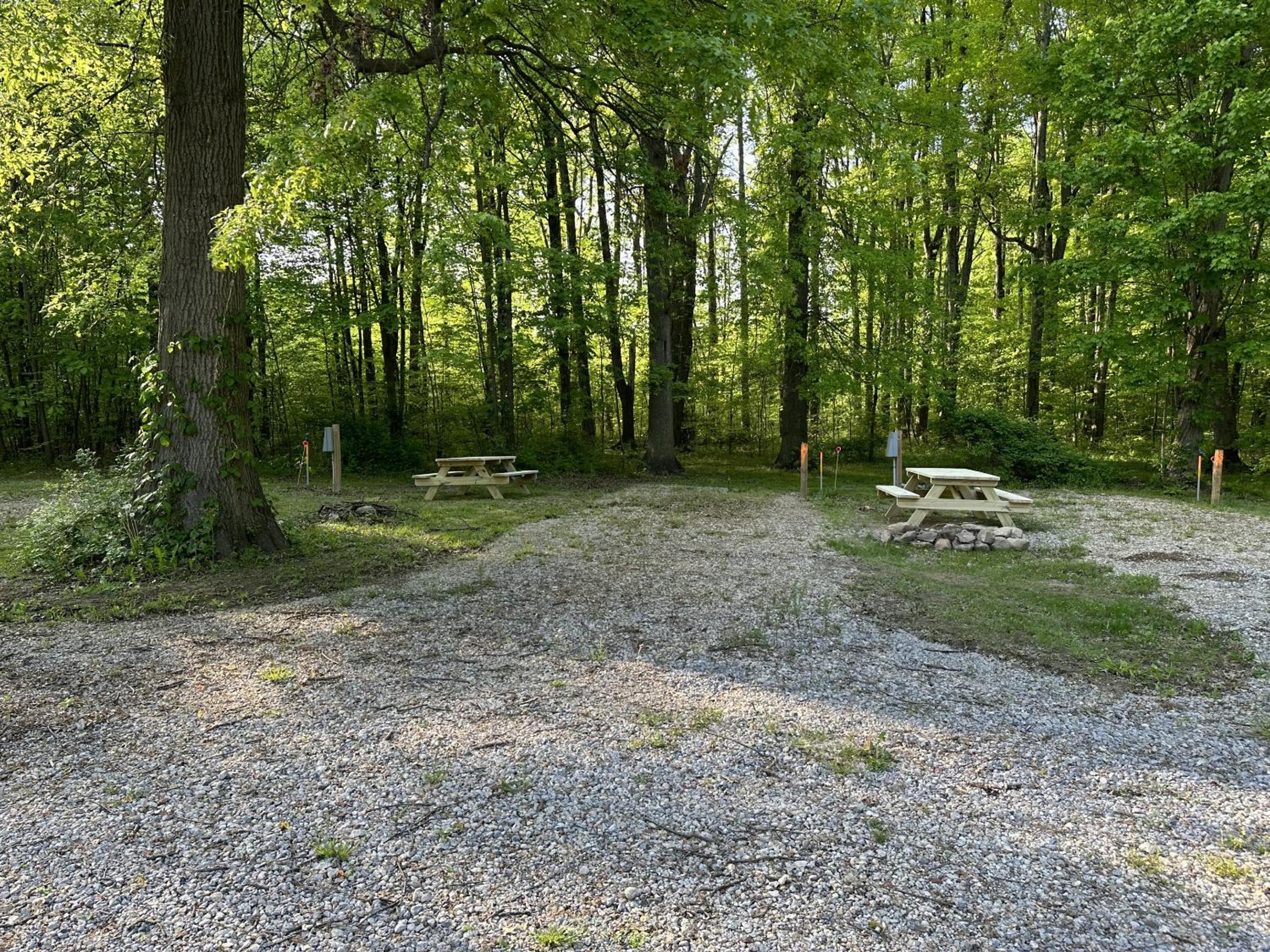 Empty Lot photo 1