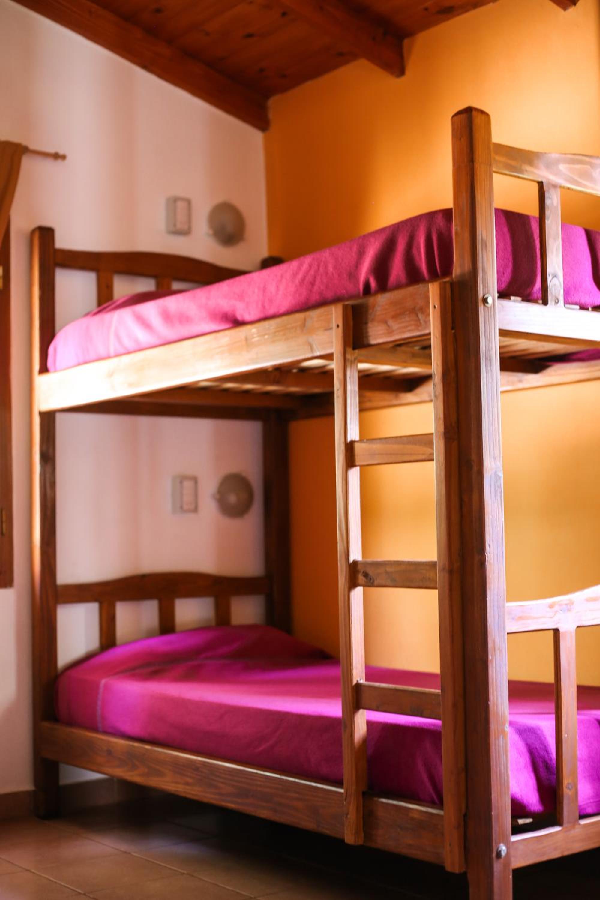 Bed in 6-Bed Mixed Dormitory Room photo 1