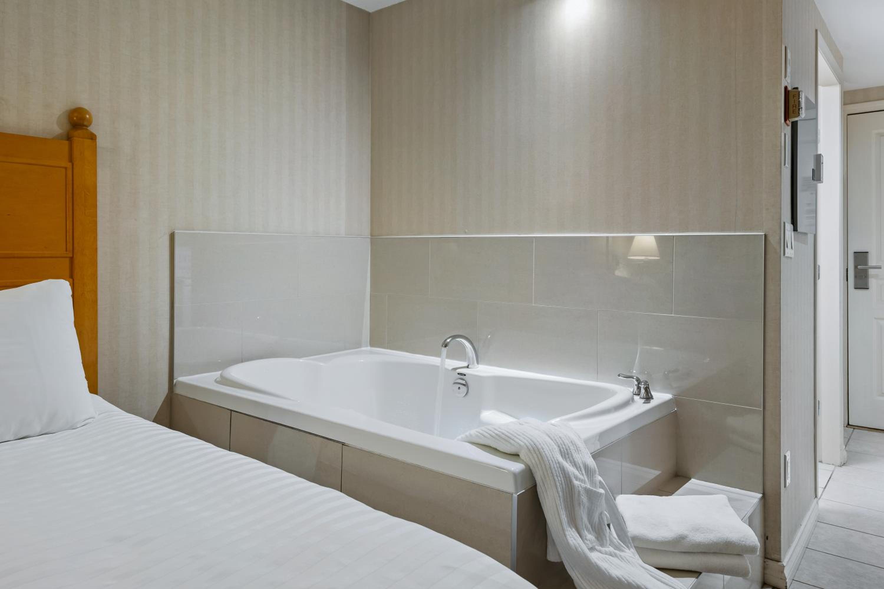 Premium Studio With Queen and Sofa Bed