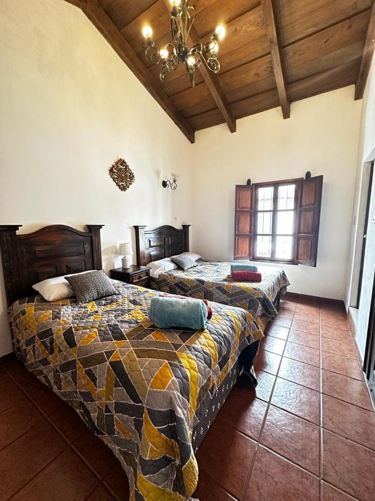 Triple Room photo 1