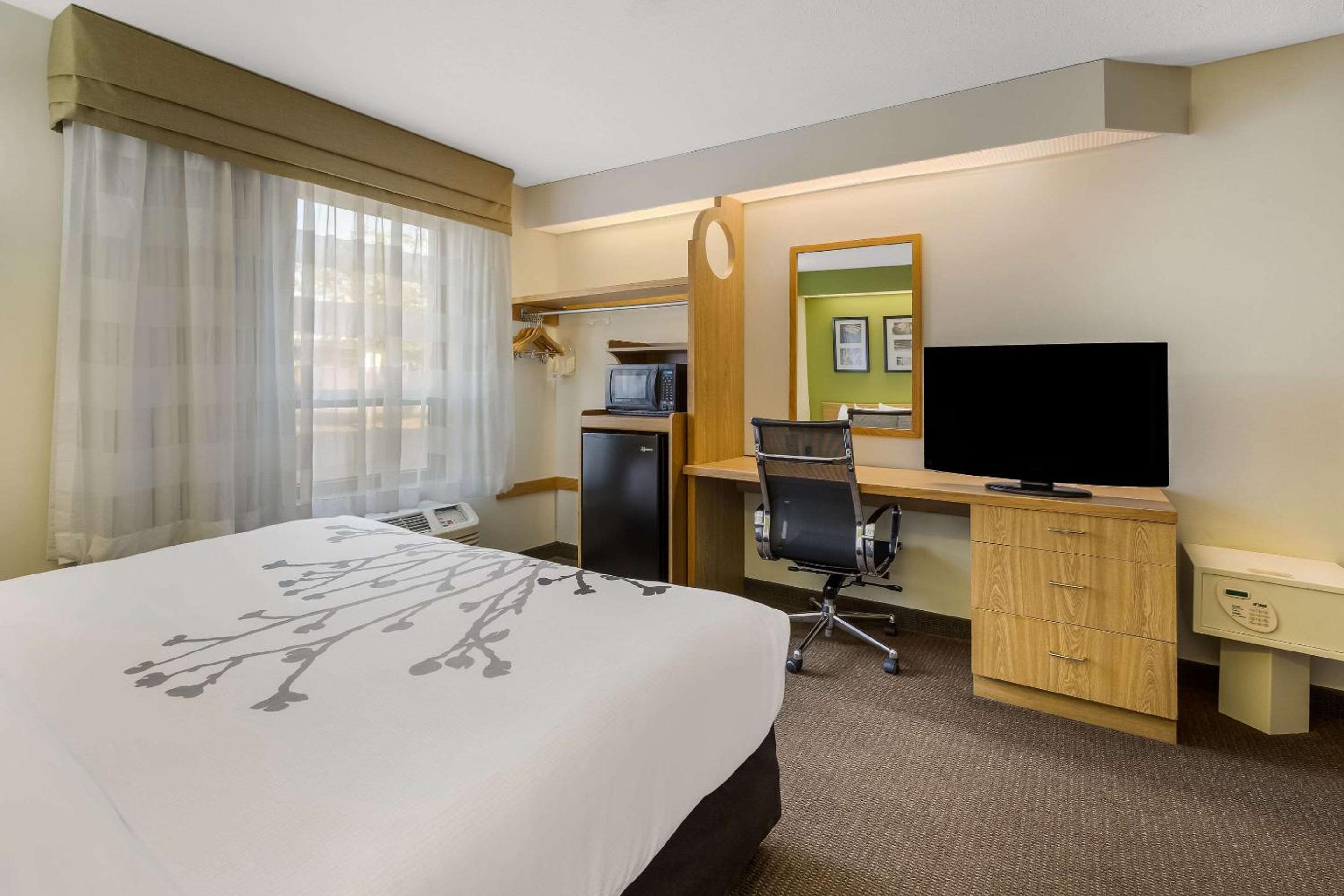 King Room - Accessible/Non-Smoking photo 2
