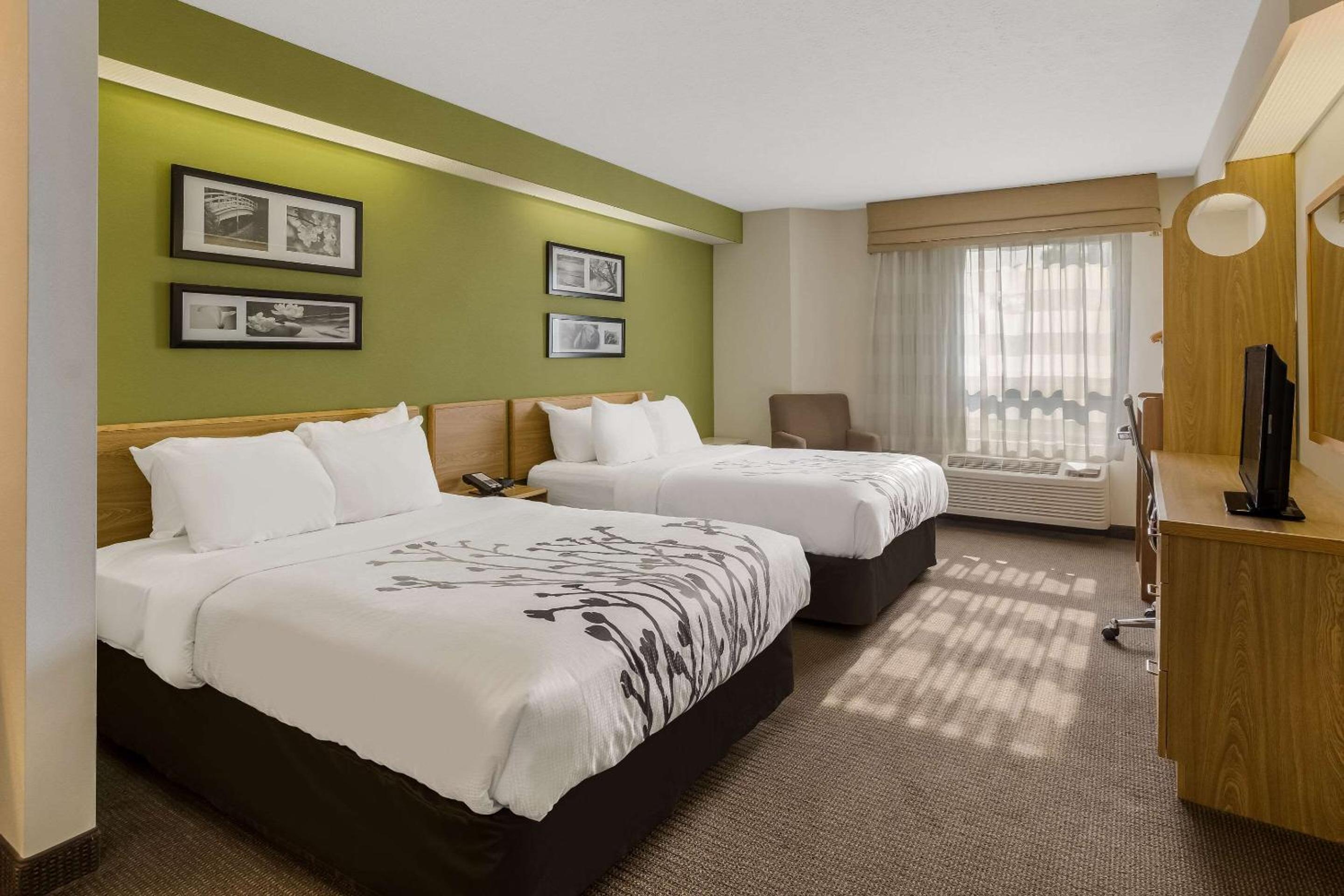 Double Room with Two Double Beds - Non-Smoking
