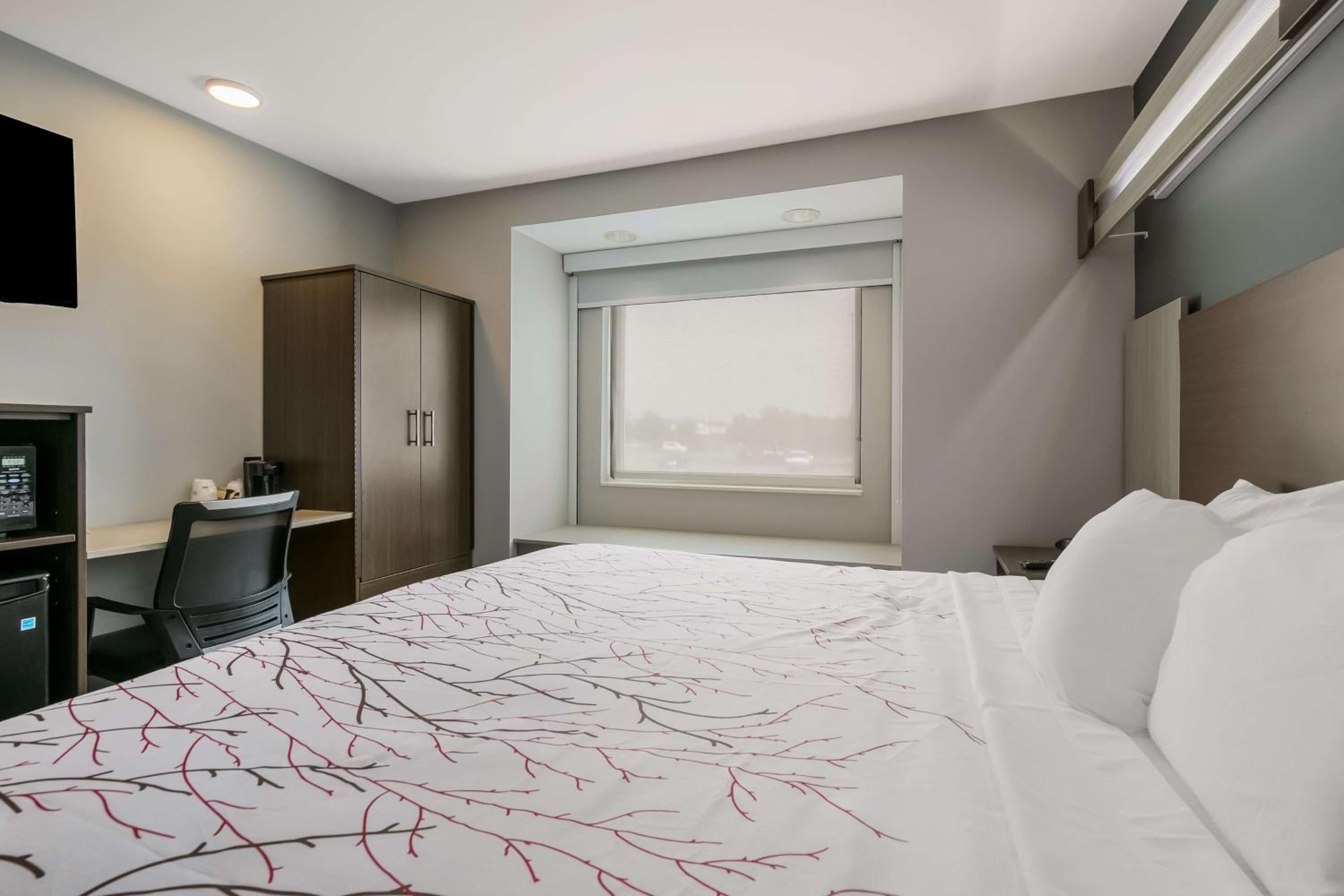 King Room - Photo 3
