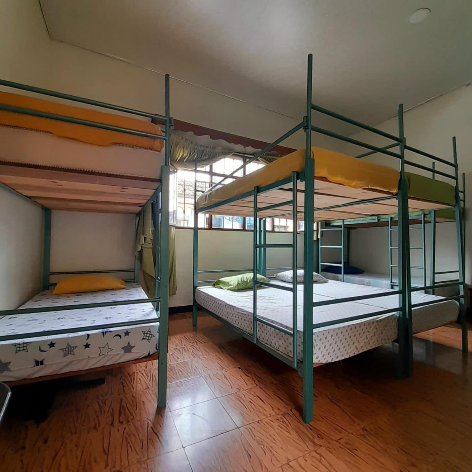 Bed in 8-Bed Mixed Dormitory Room