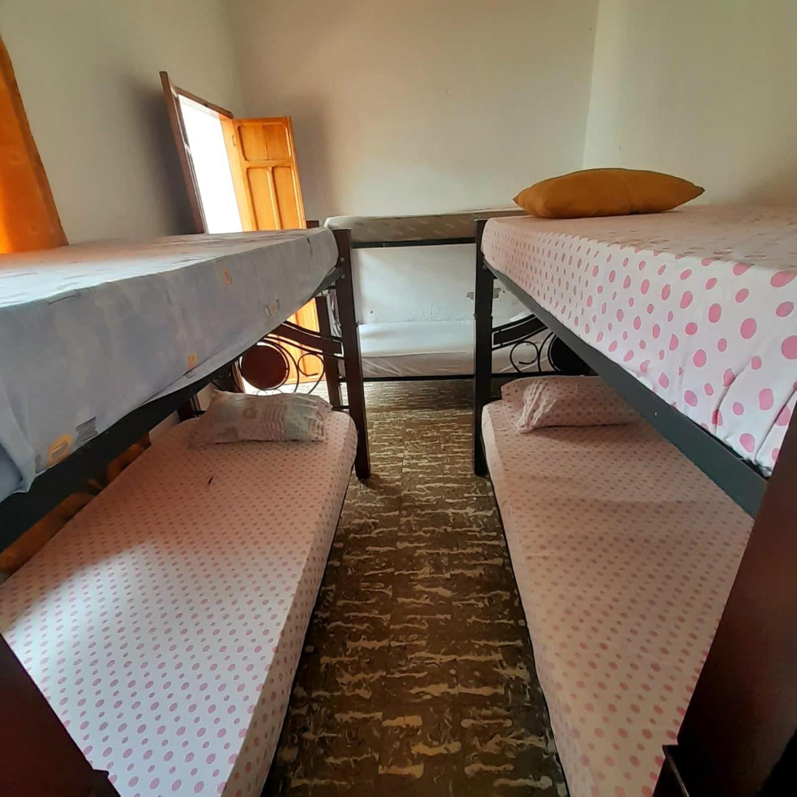 Bed in 4-Bed Female Dormitory Room photo 1