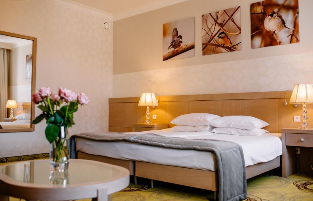 Standard Double or Twin Room photo 1