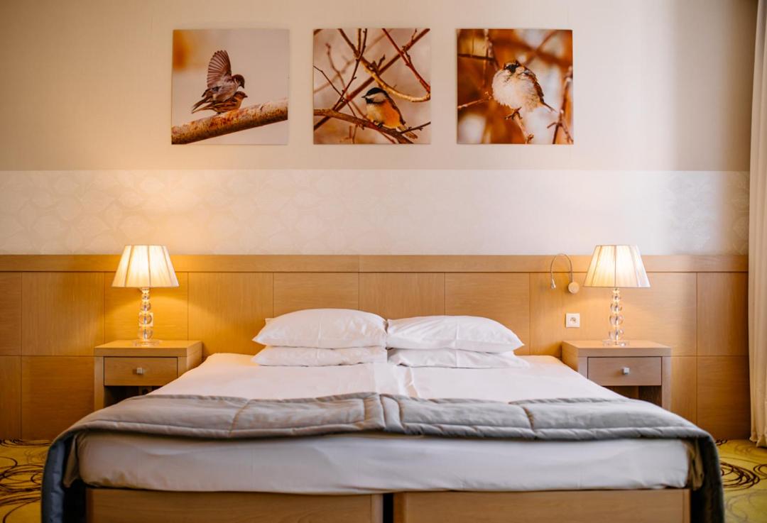 Single Room photo 2