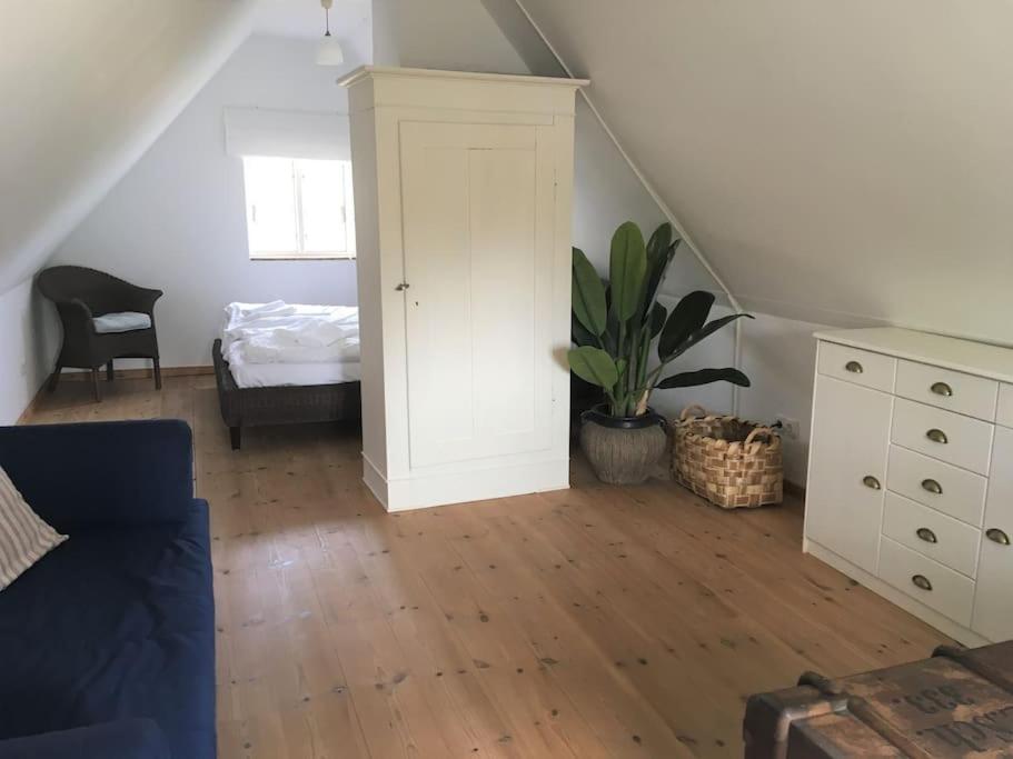 One-Bedroom House photo 3