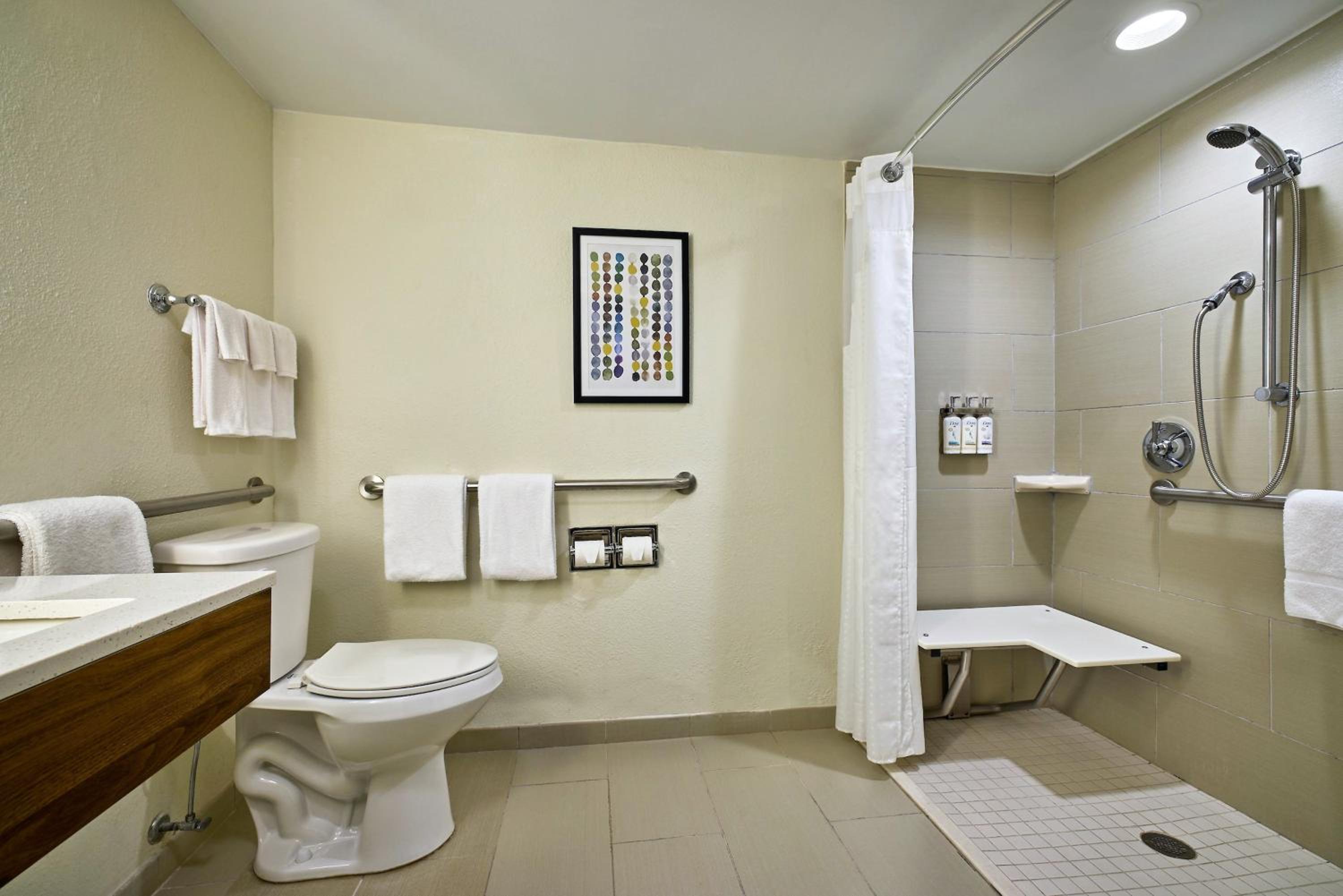 King Room - Hearing Accessible - Roll-in Shower photo 3