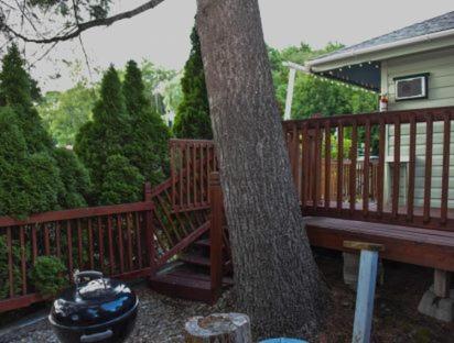 Cottage with Garden View photo 3