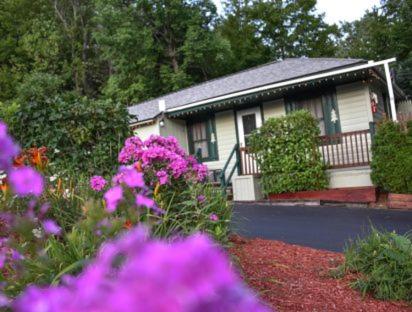 Cottage with Garden View photo 2