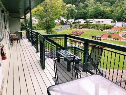 Studio with Garden View photo 1