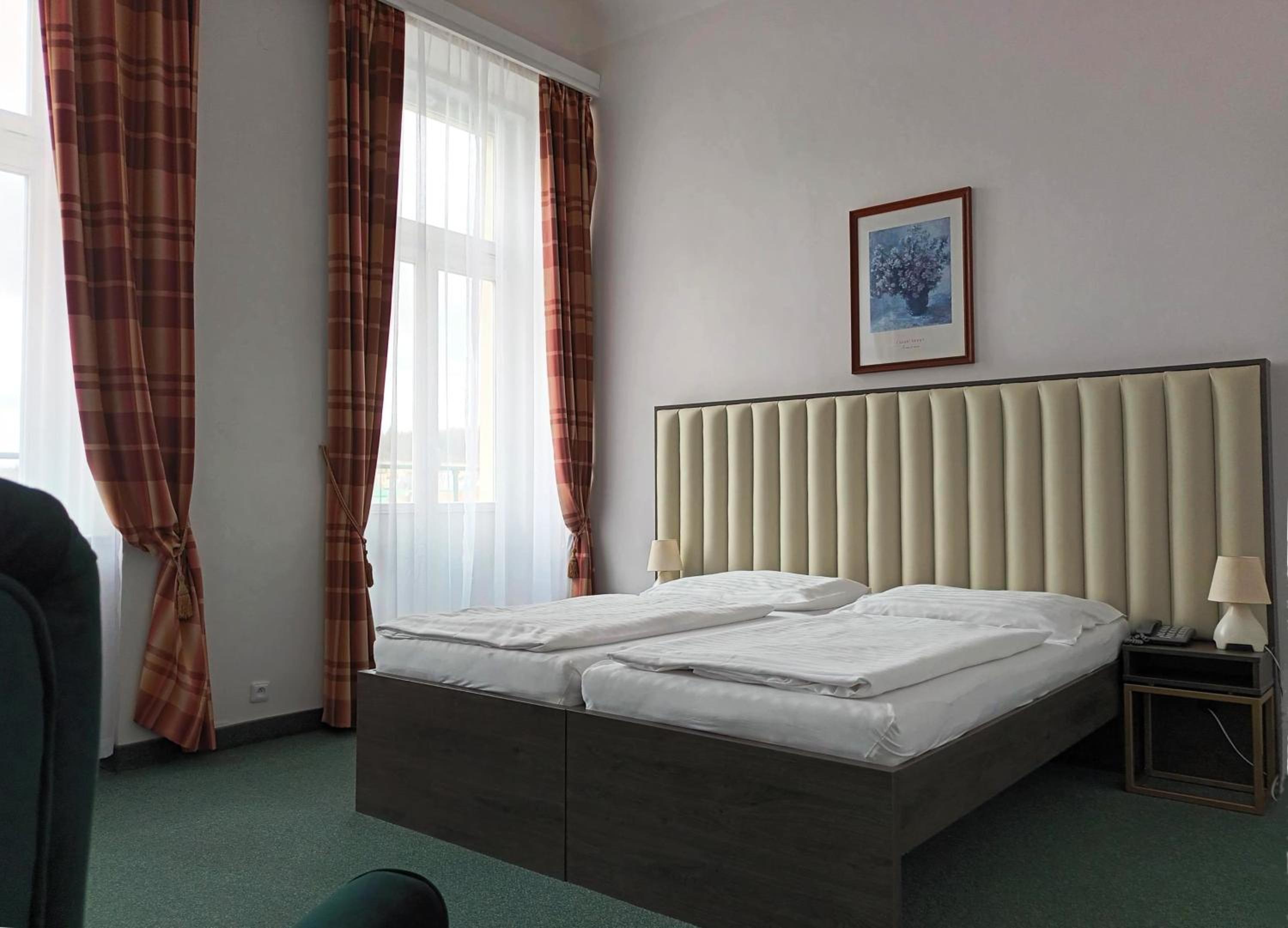 Special Offer - Double or Twin Room with Wellness Package photo 2