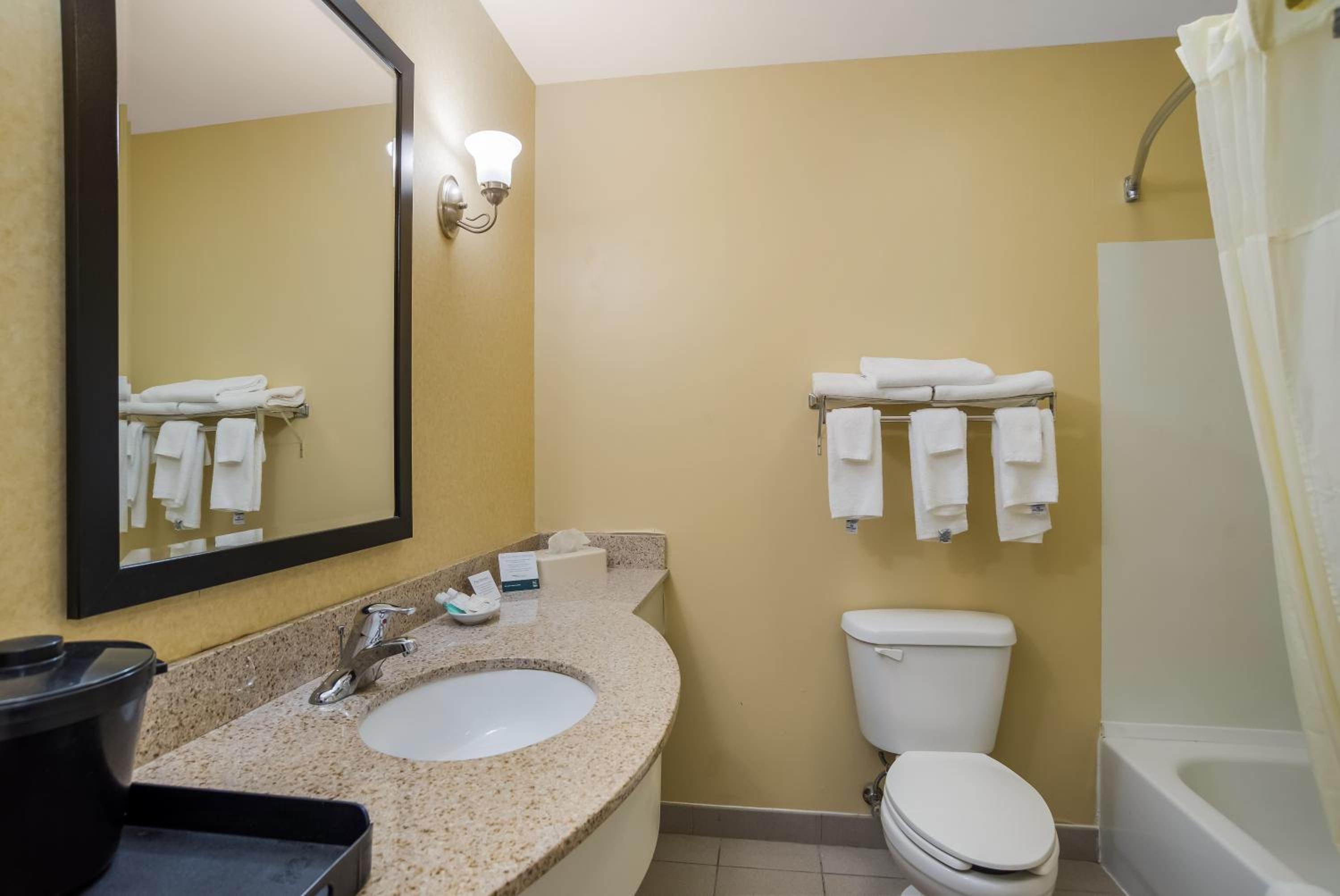 King Suite - Accessible/Non-Smoking - Photo 4