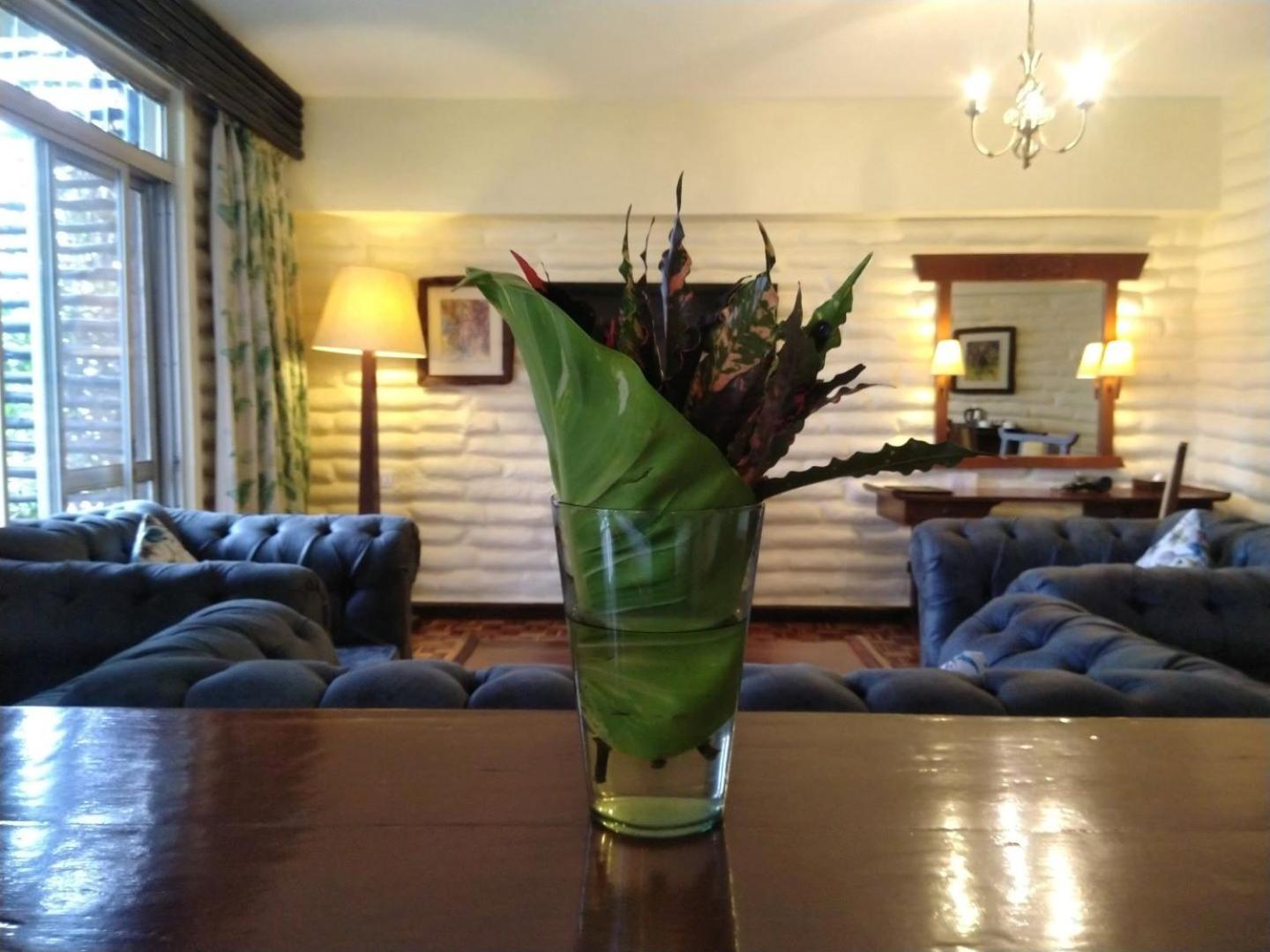 Executive Suite - Photo 2