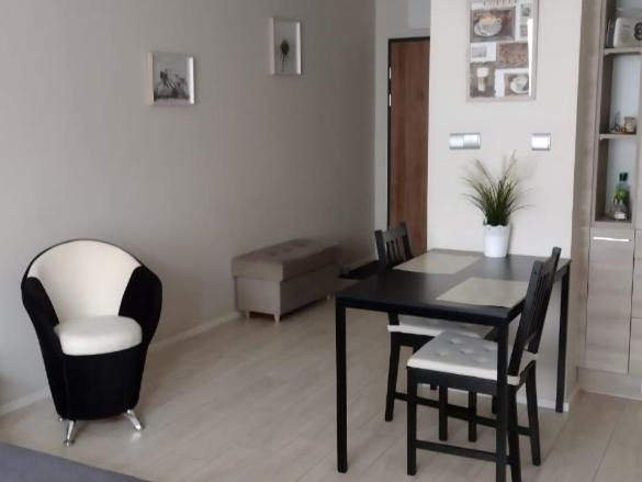 Studio Apartment photo 2