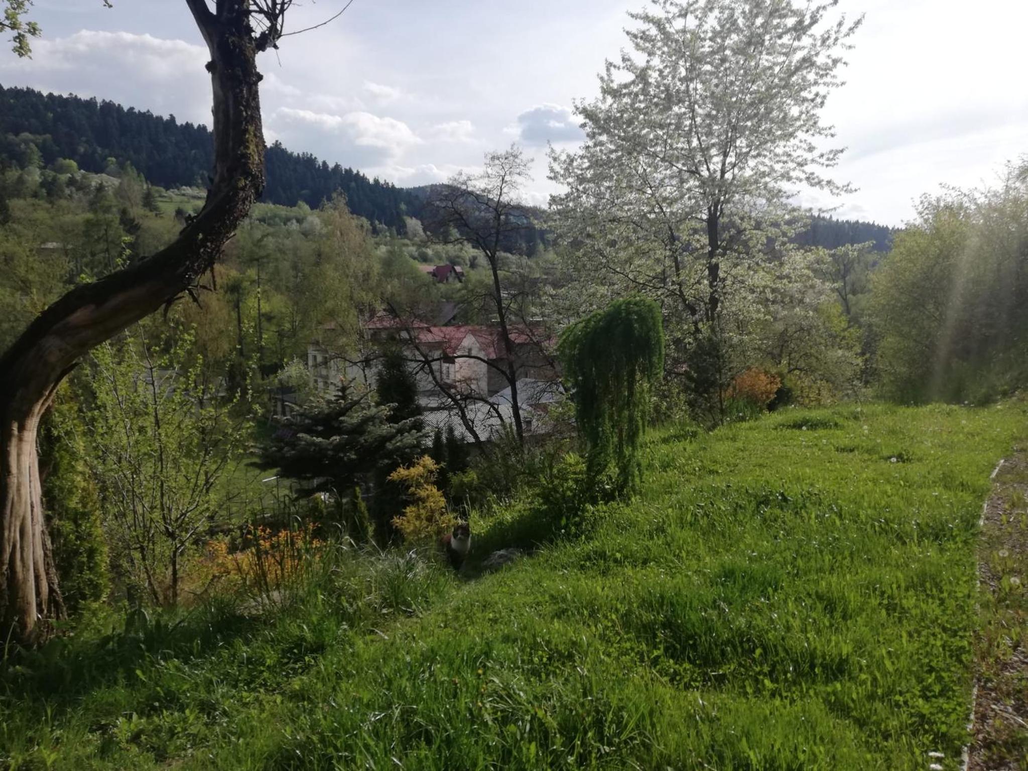 Apartment with Garden View photo 3