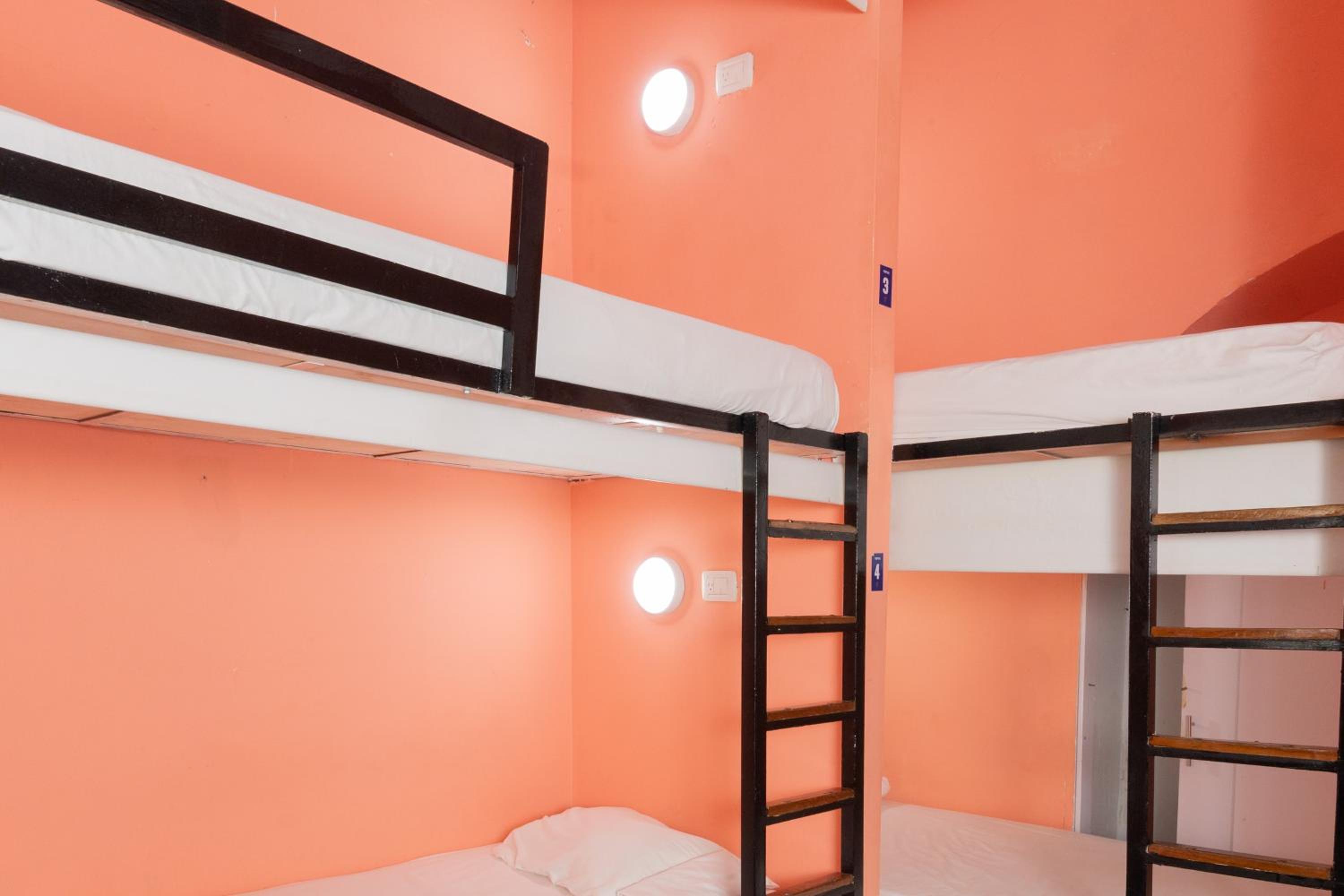 Single Bed in Mixed Dormitory Room photo 1