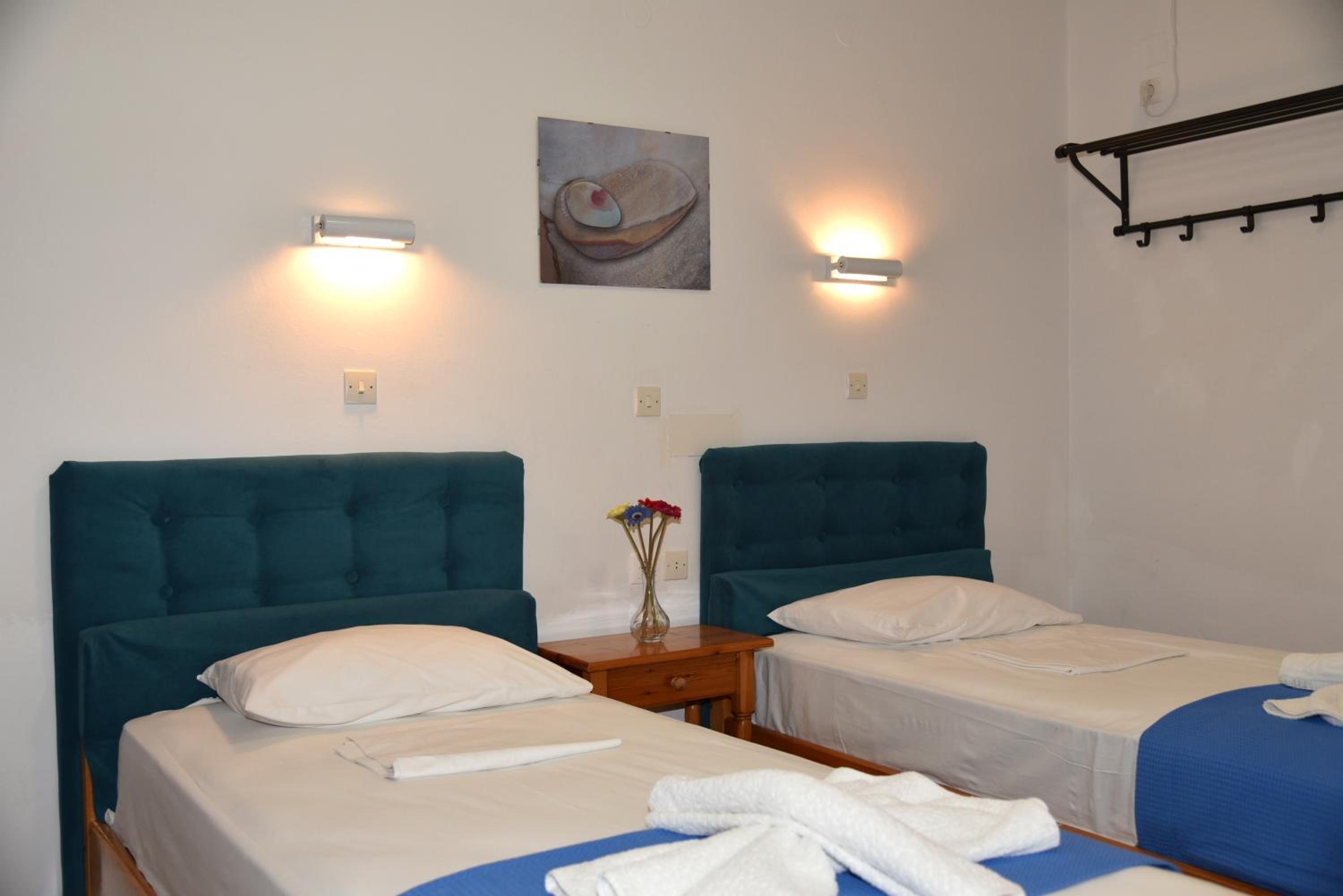 Double or Twin Room photo 1