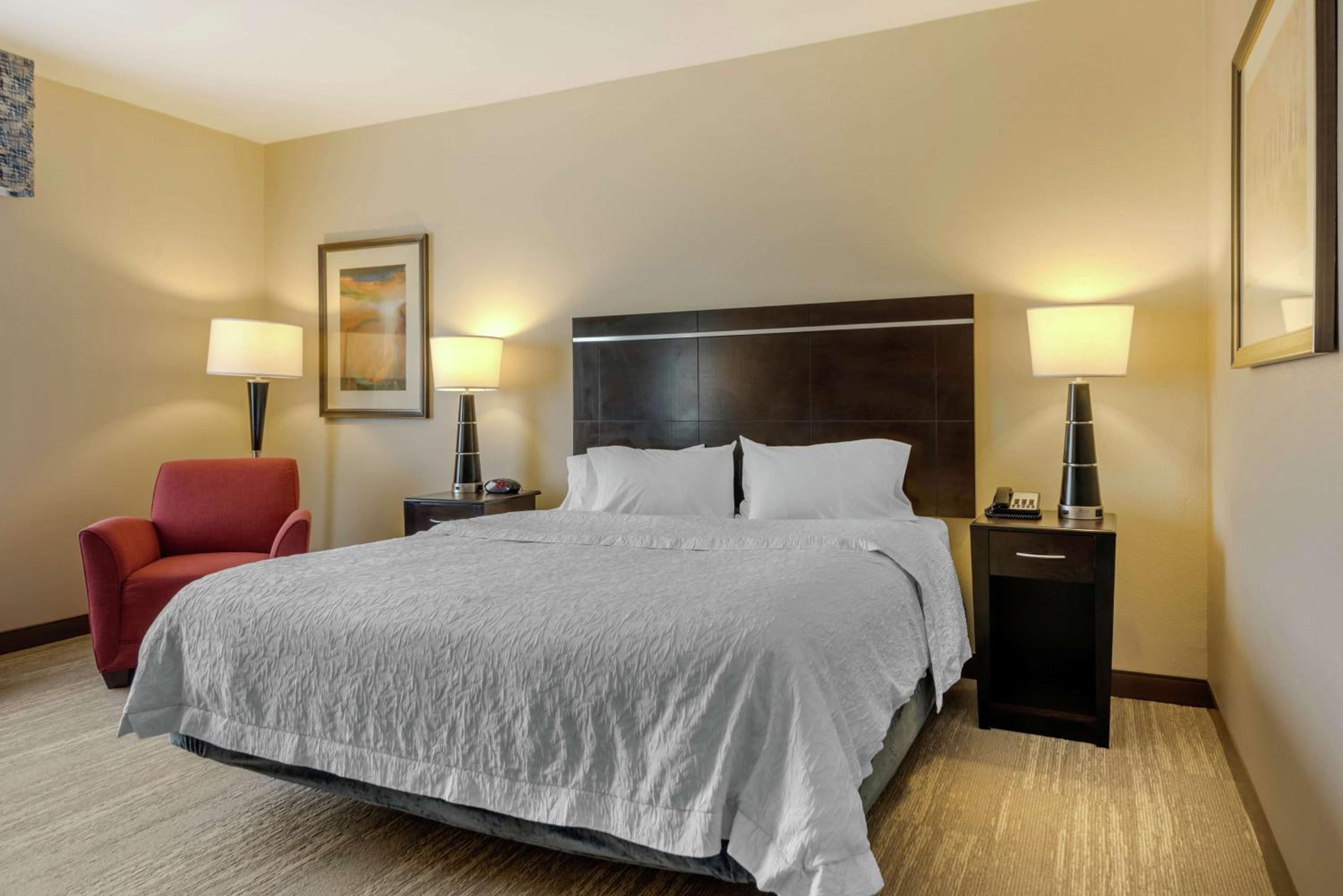 King Room with Accessible Tub - Mobility and Hearing Access/Non-Smoking - Photo 1