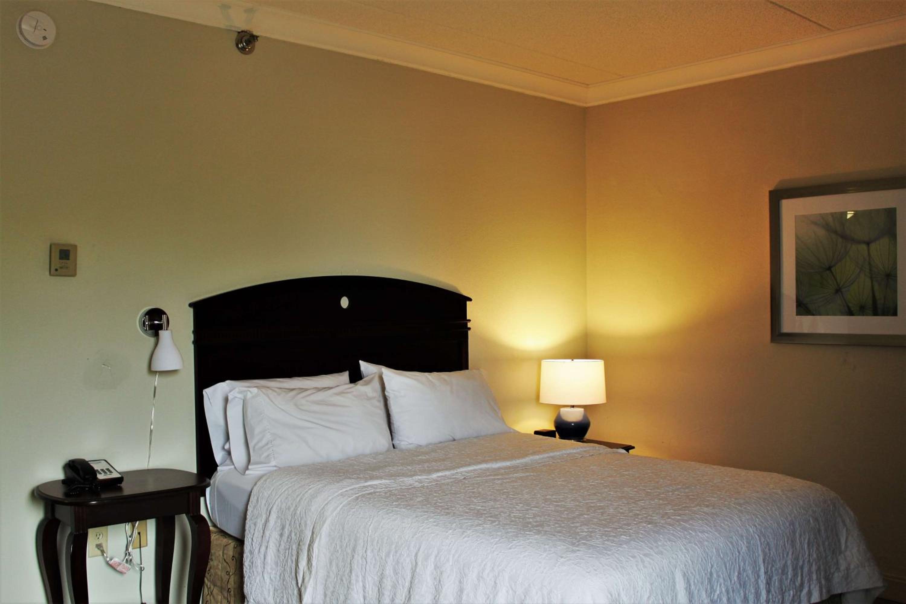 Queen Room - Non-Smoking - Photo 4