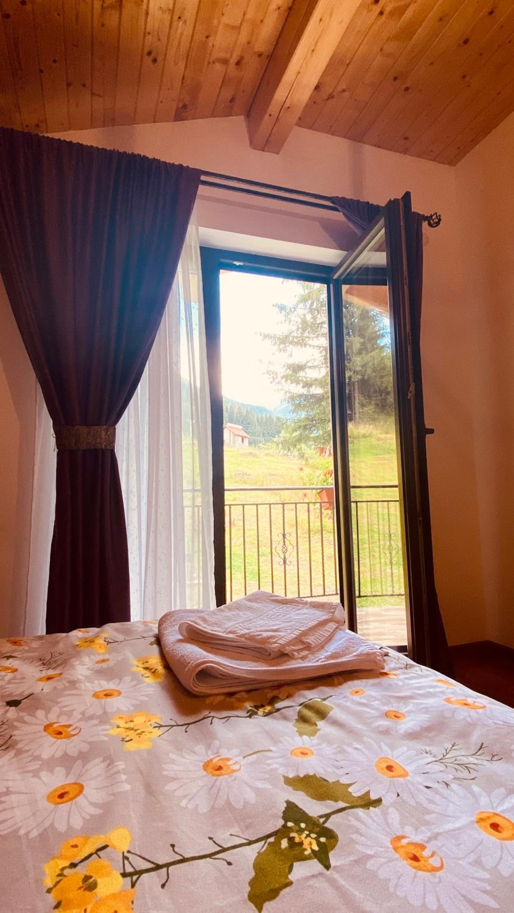 Double Room with Mountain View photo 2