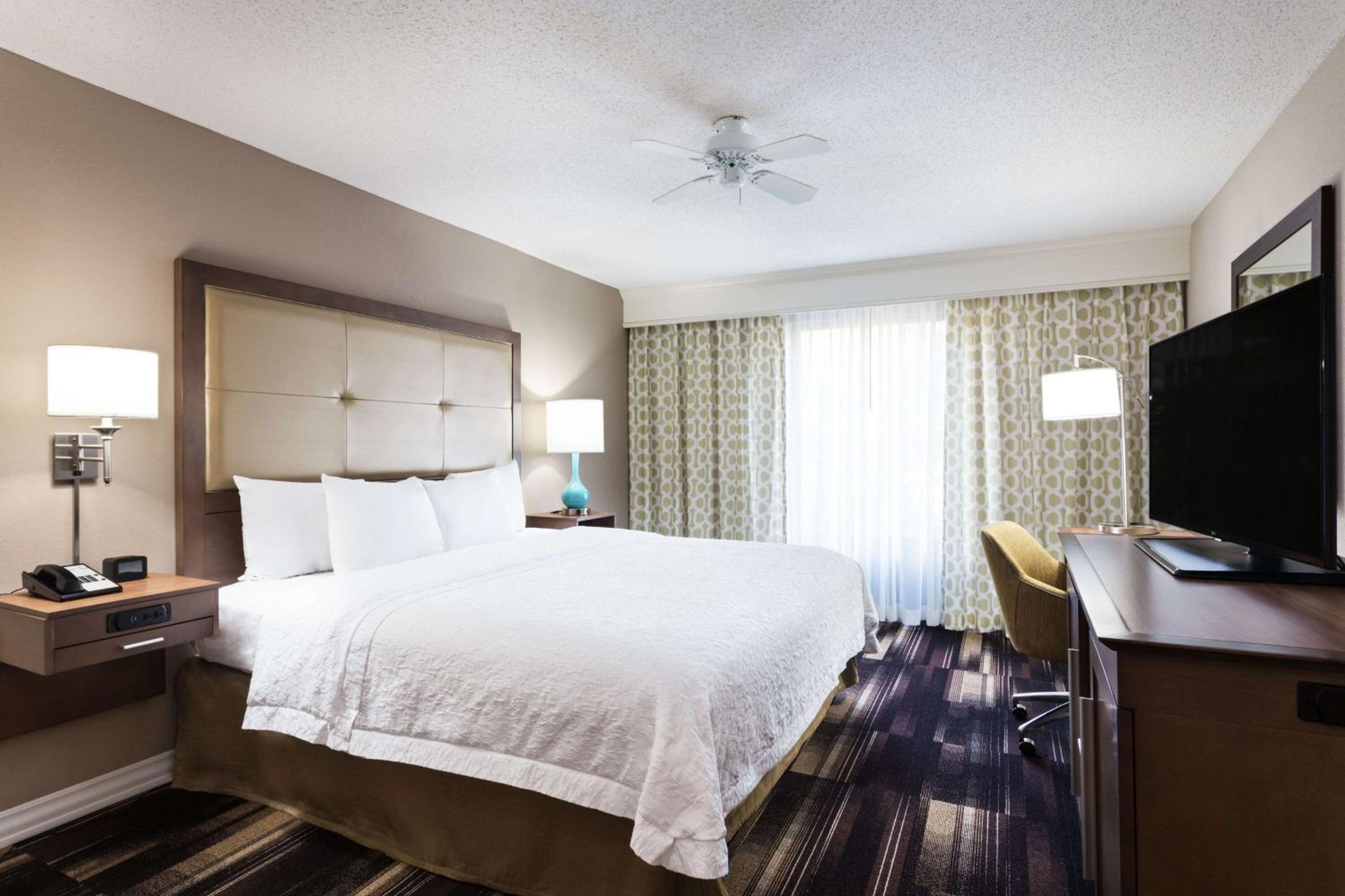 One-Bedroom King Suite with Balcony and Kitchen - Photo 4