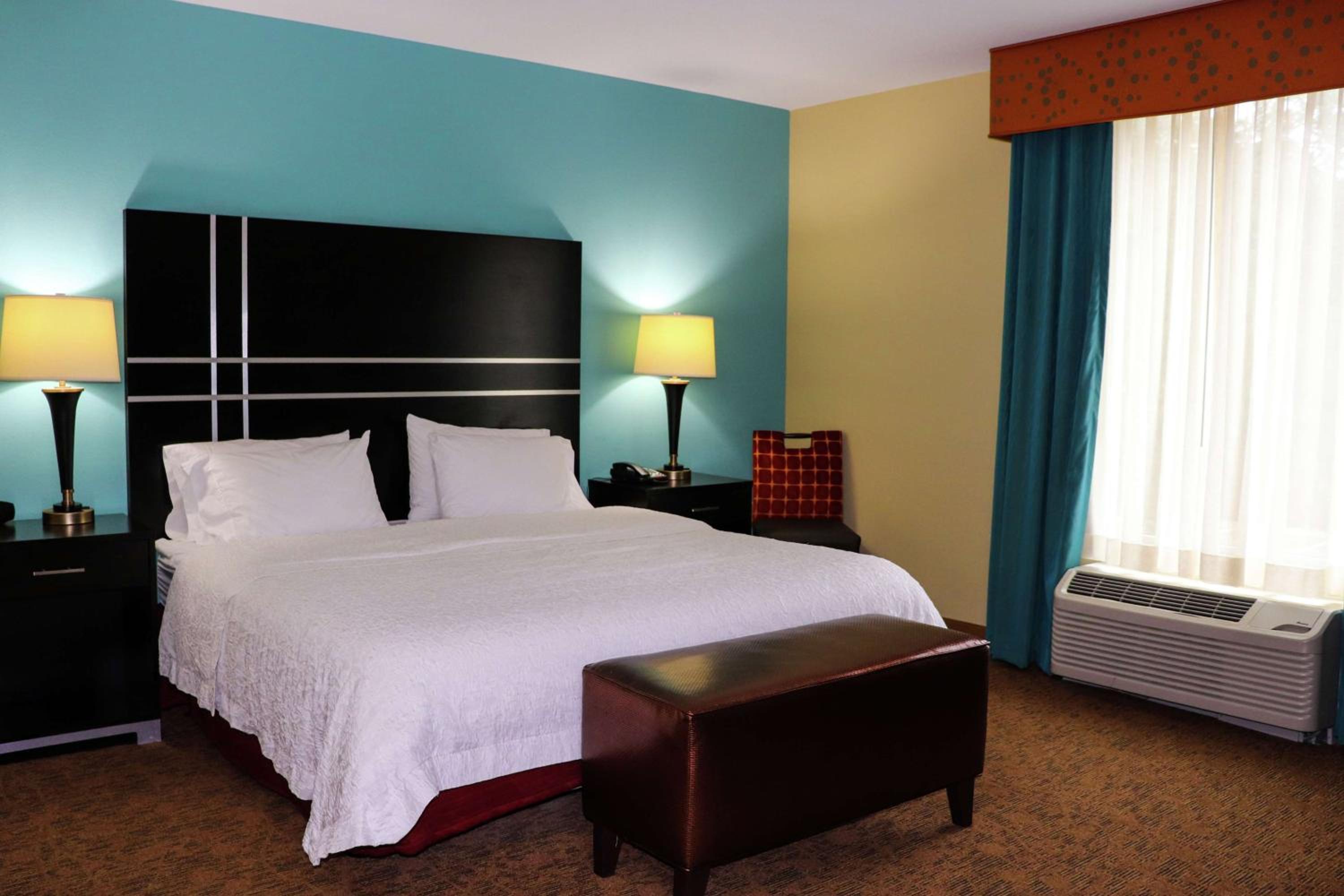 Room, 1 King Bed with Sofa bed, Accessible