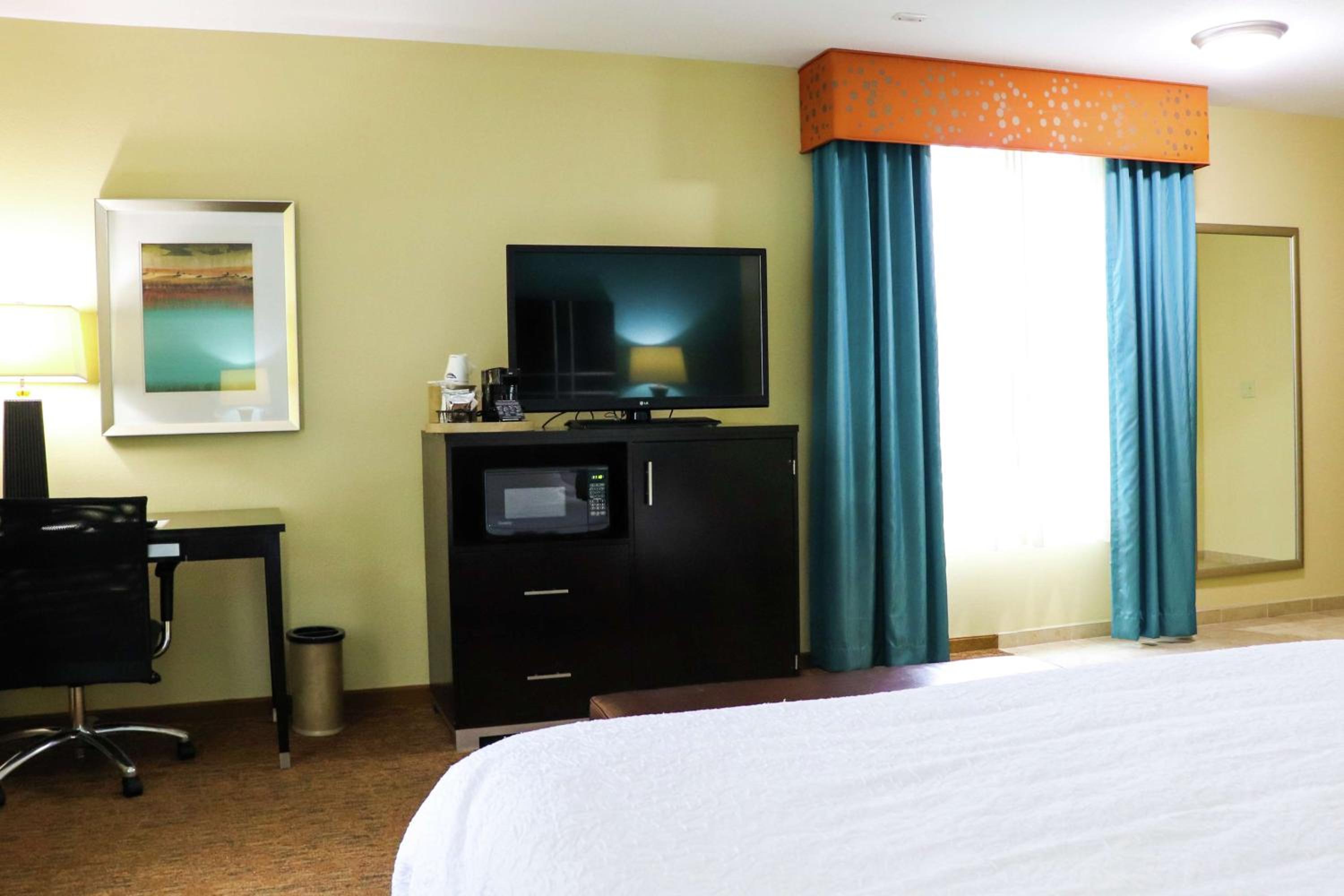 Room, 1 King Bed with Sofa bed, Accessible