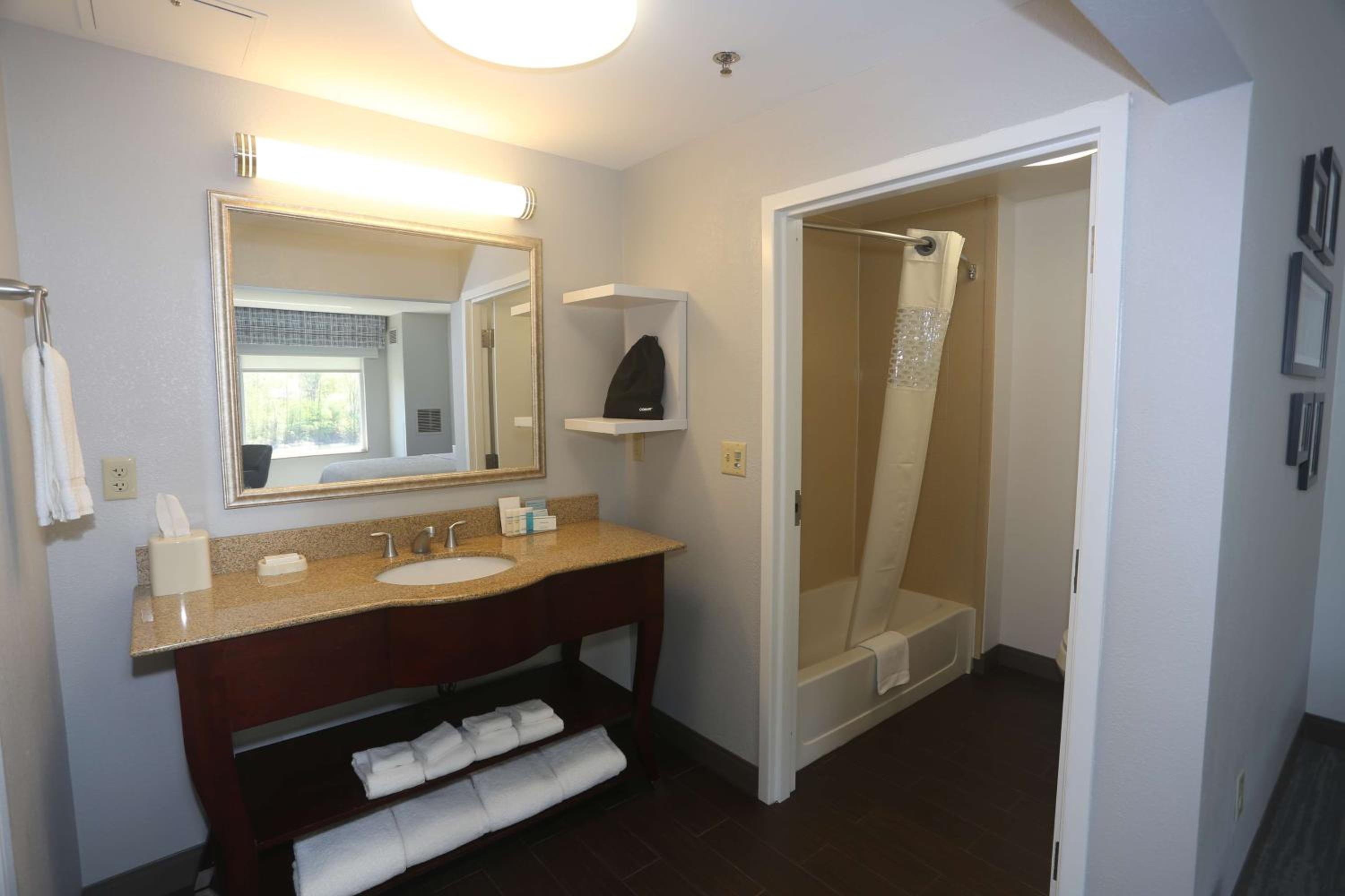 King Studio Suite with Sofa Bed - Non-Smoking - Photo 2