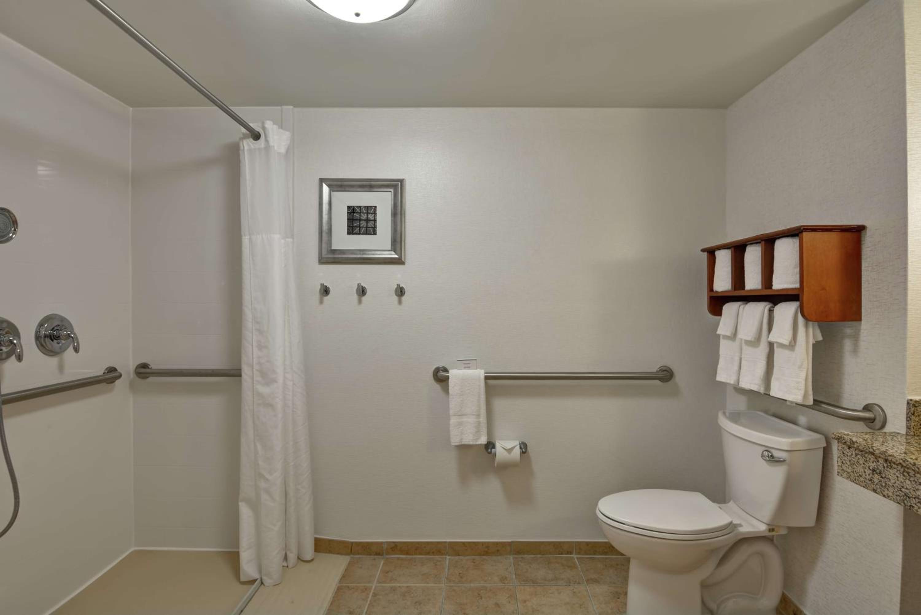 Queen Room with Roll-In Shower - Mobility Access/Non-Smoking photo 2