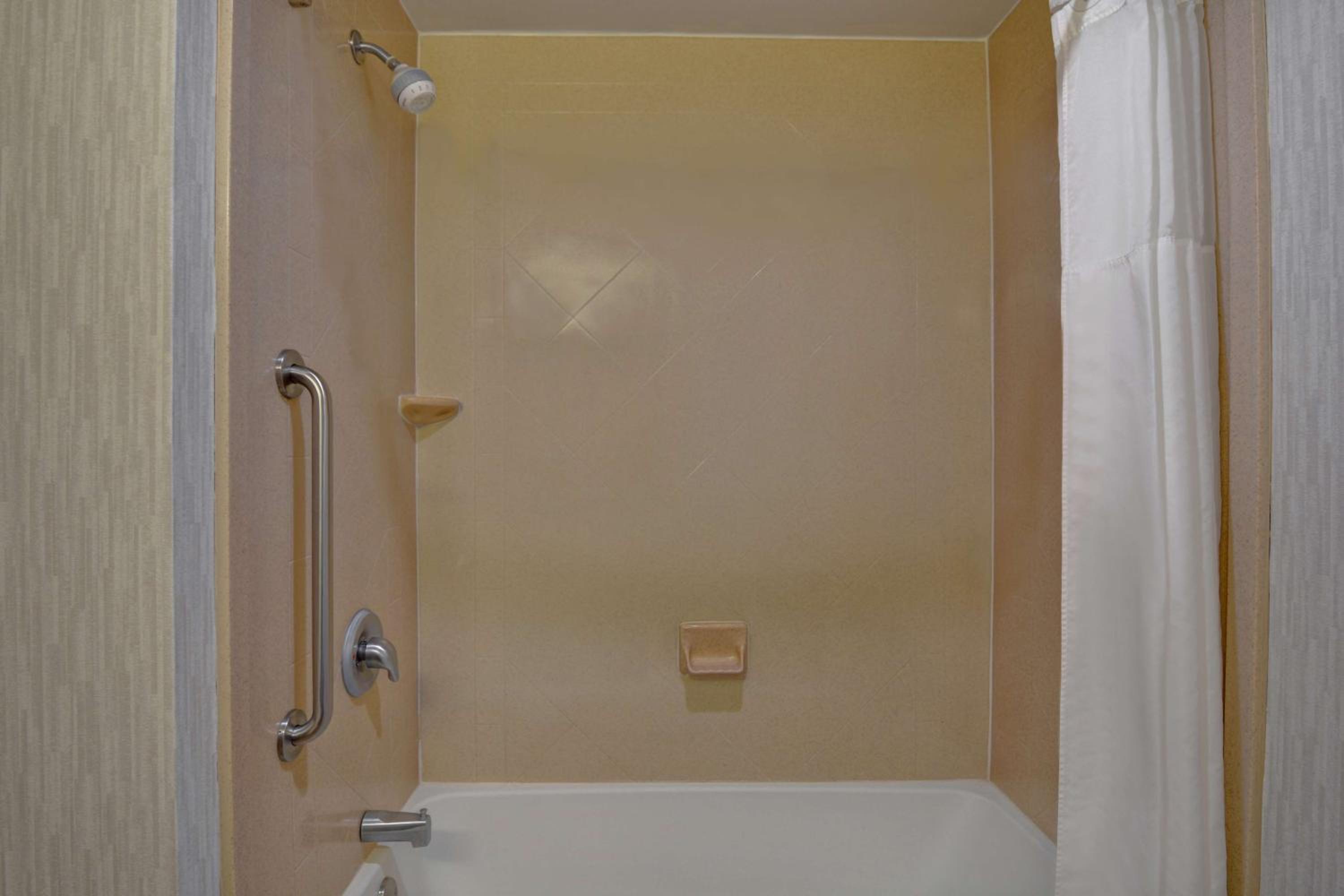 King Studio Suite with Sofa Bed - Non-Smoking - Photo 5