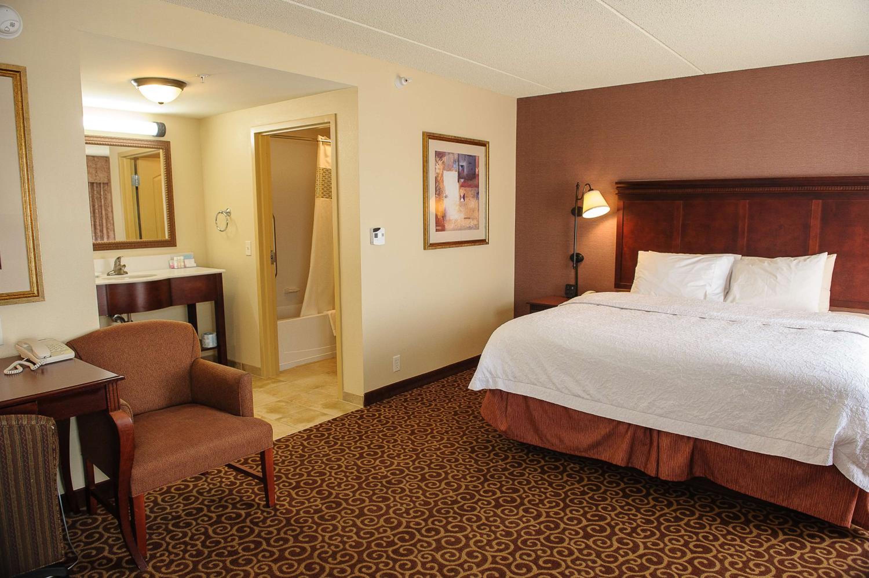 King Studio Suite with Sofa Bed - Non-Smoking - Photo 1