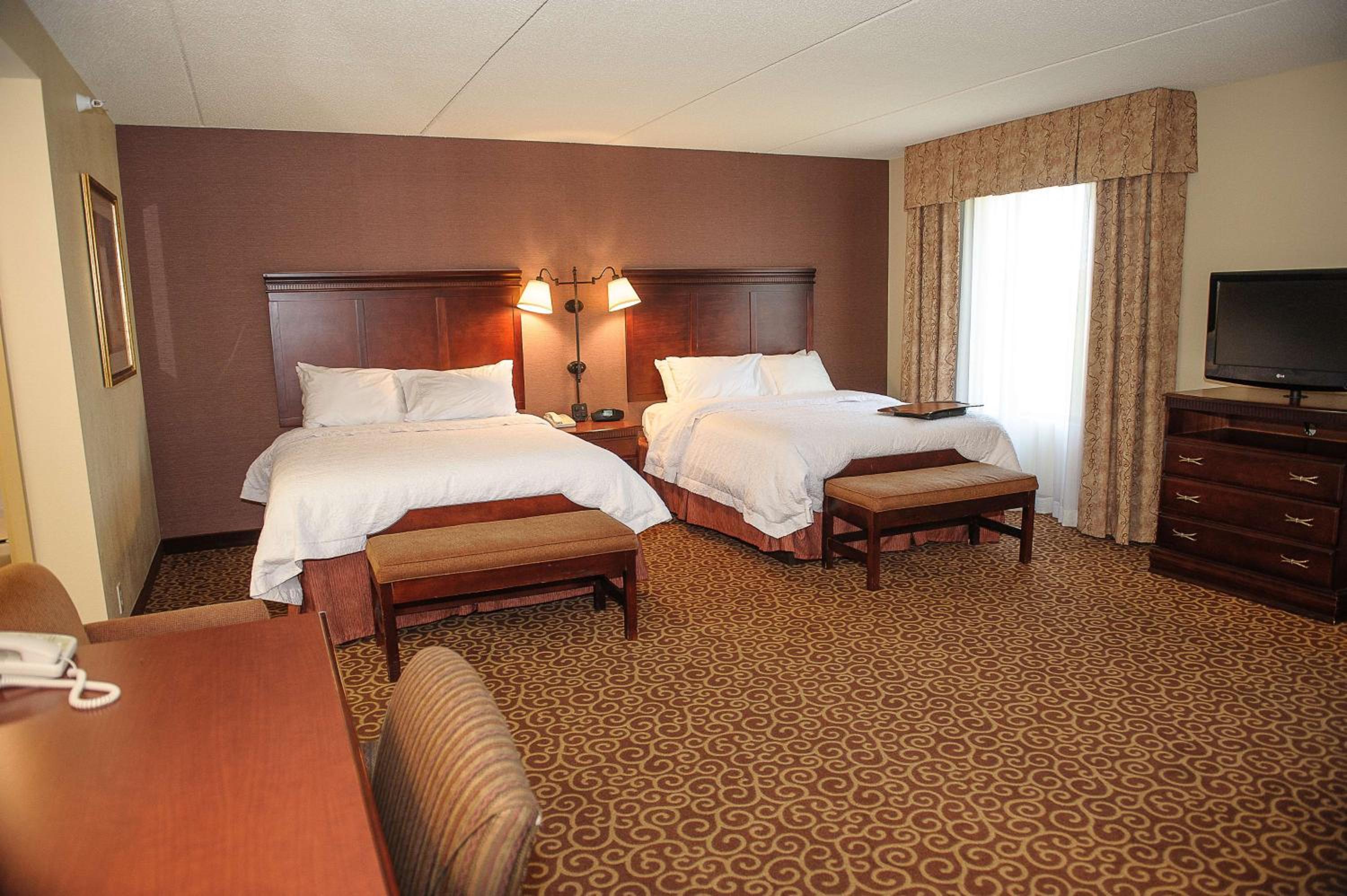 Queen Studio Suite with Two Queen Beds and Sofa Bed - Non-Smoking - Photo 5